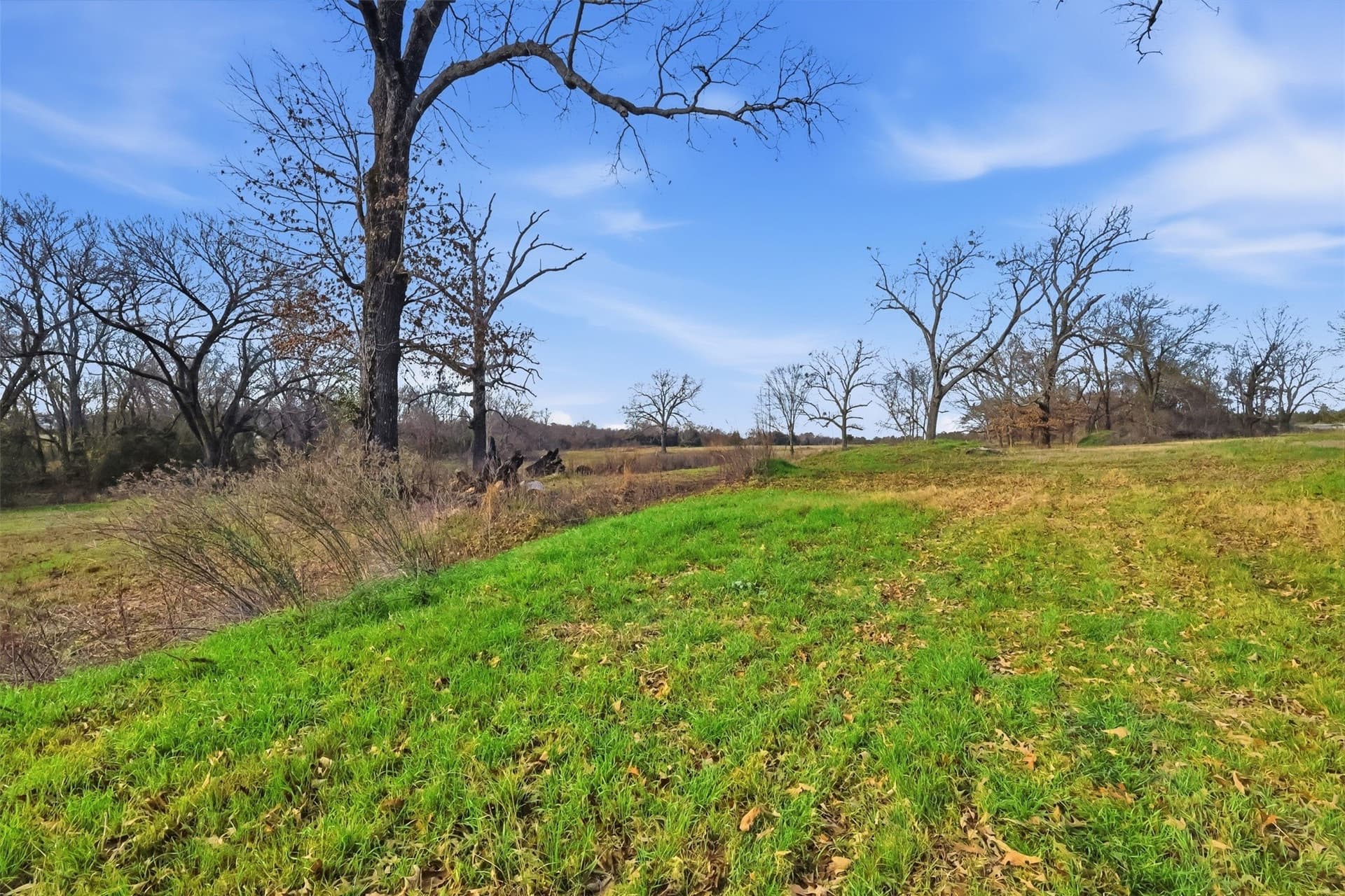 65.7 acres in Wood County - photo 8