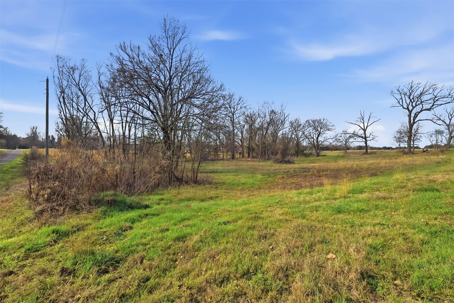 65.7 acres in Wood County - photo 5