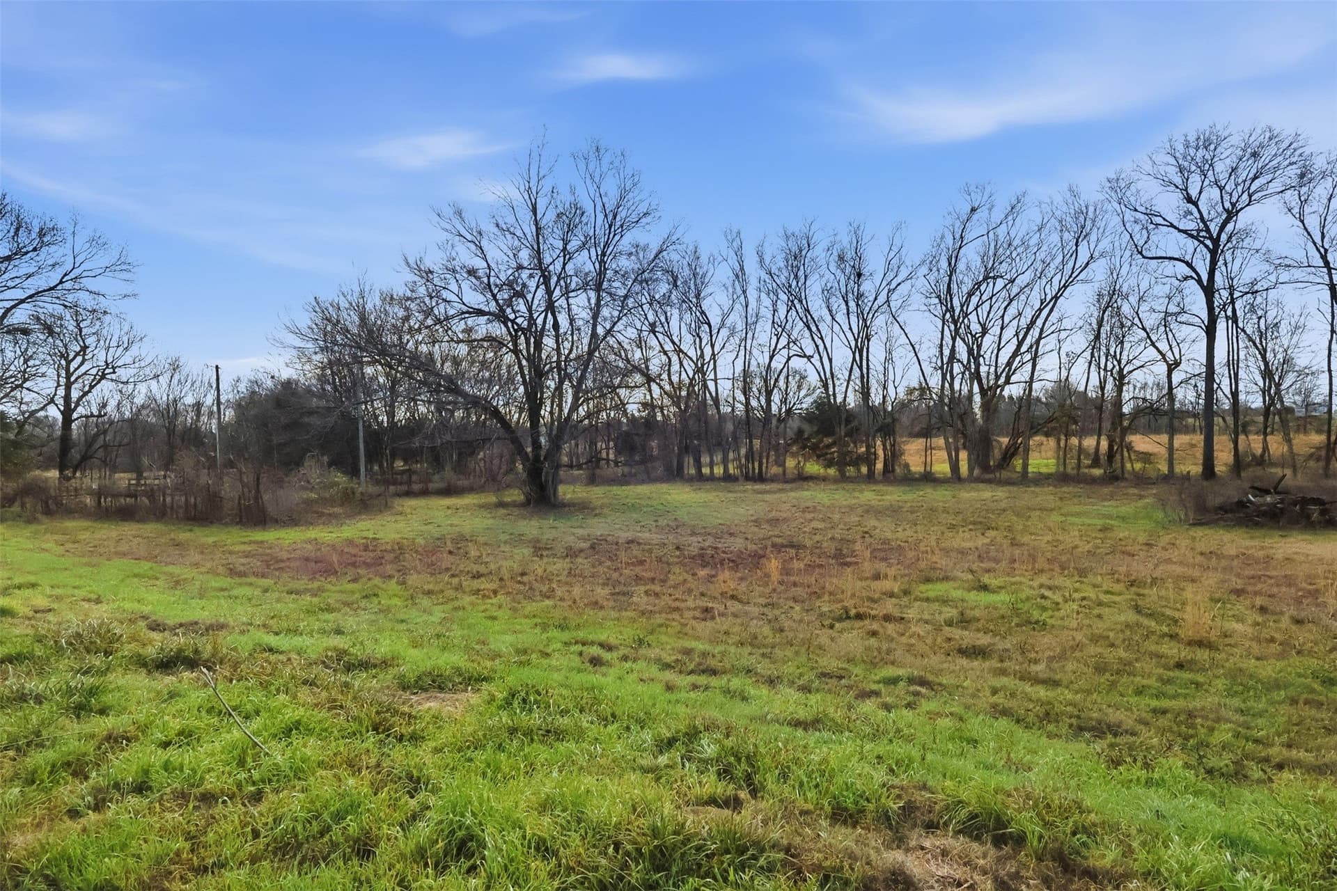65.7 acres in Wood County - photo 6
