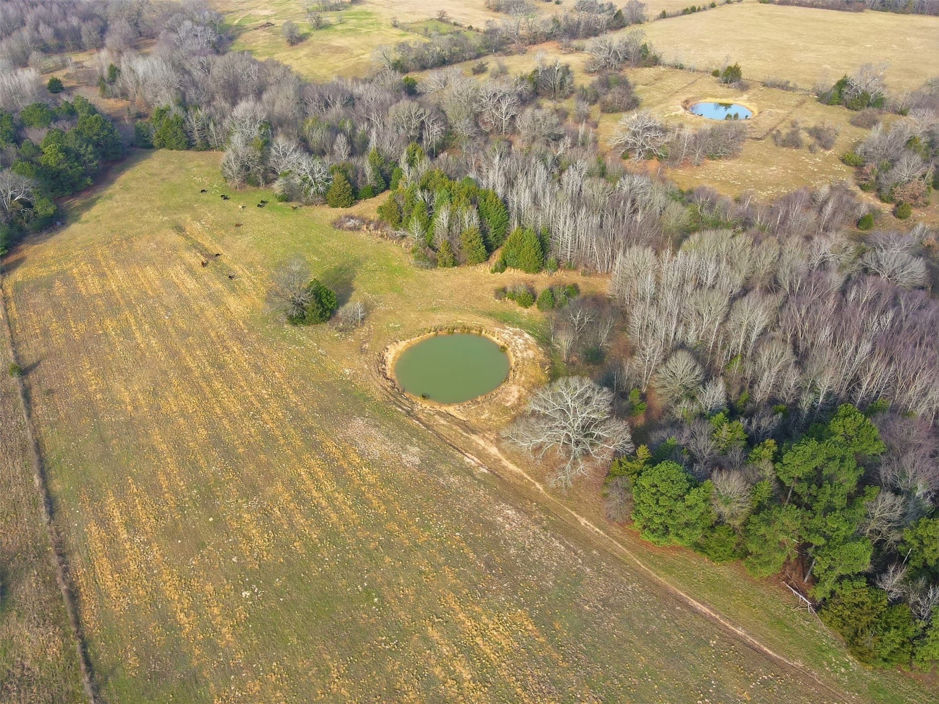 65.7 acres in Wood County - photo 15