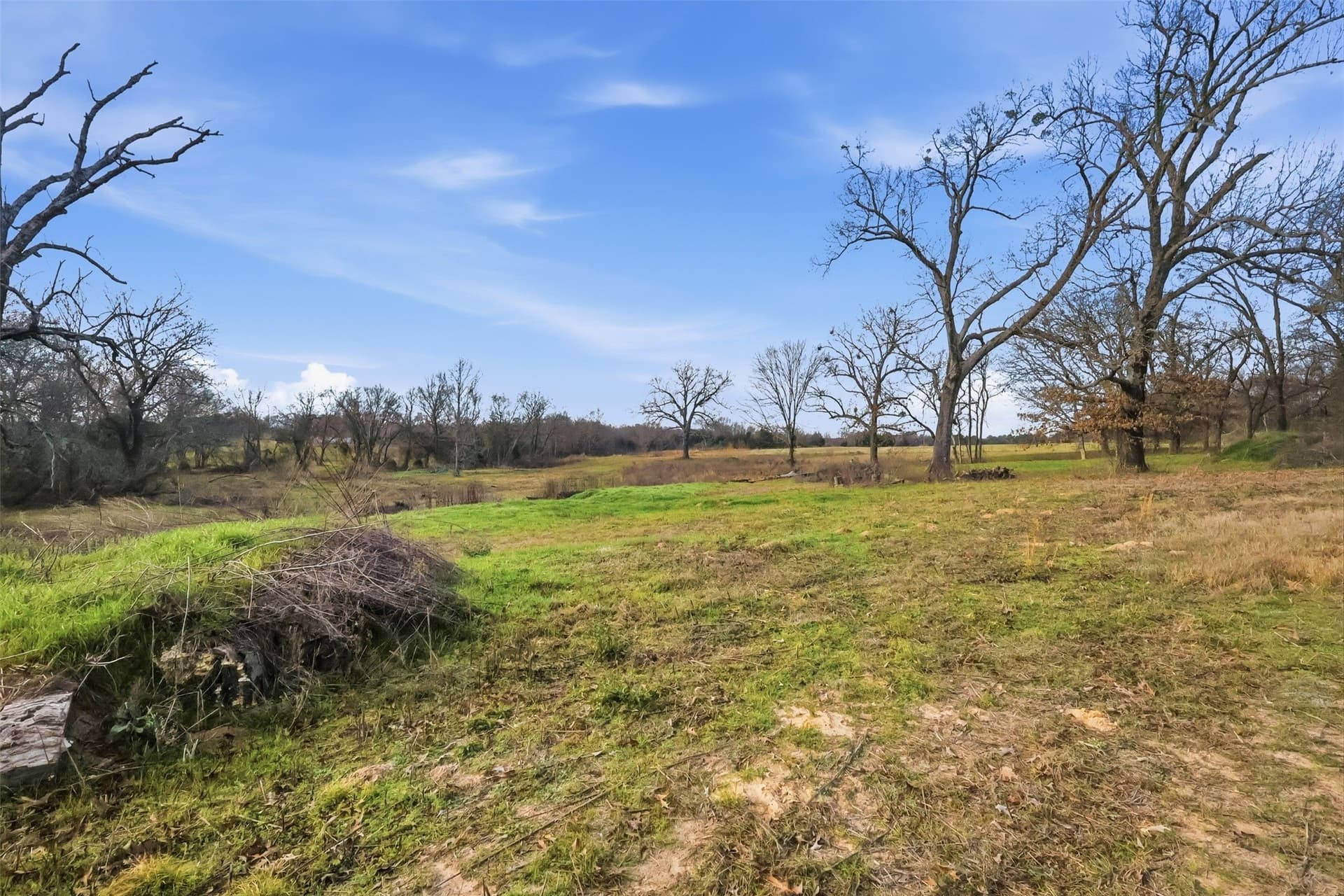 65.7 acres in Wood County - photo 9