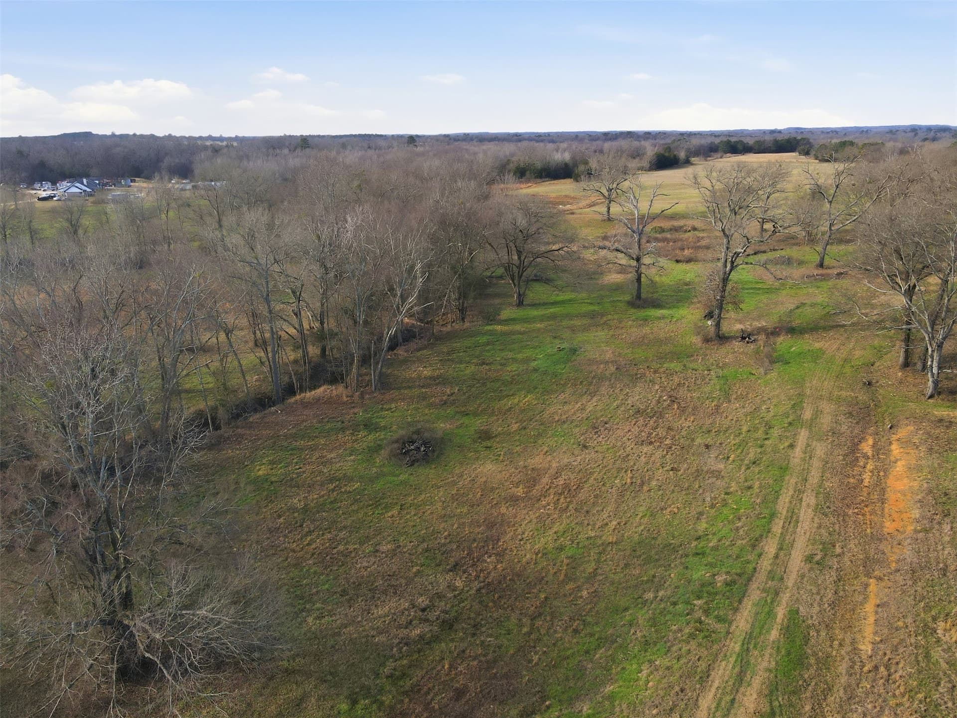 65.7 acres in Wood County - photo 19