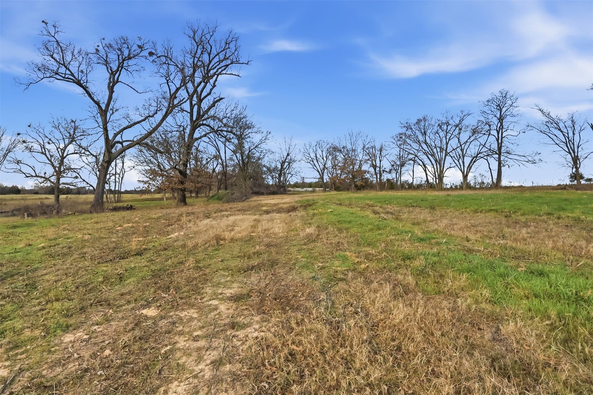 65.7 acres in Wood County - photo 10