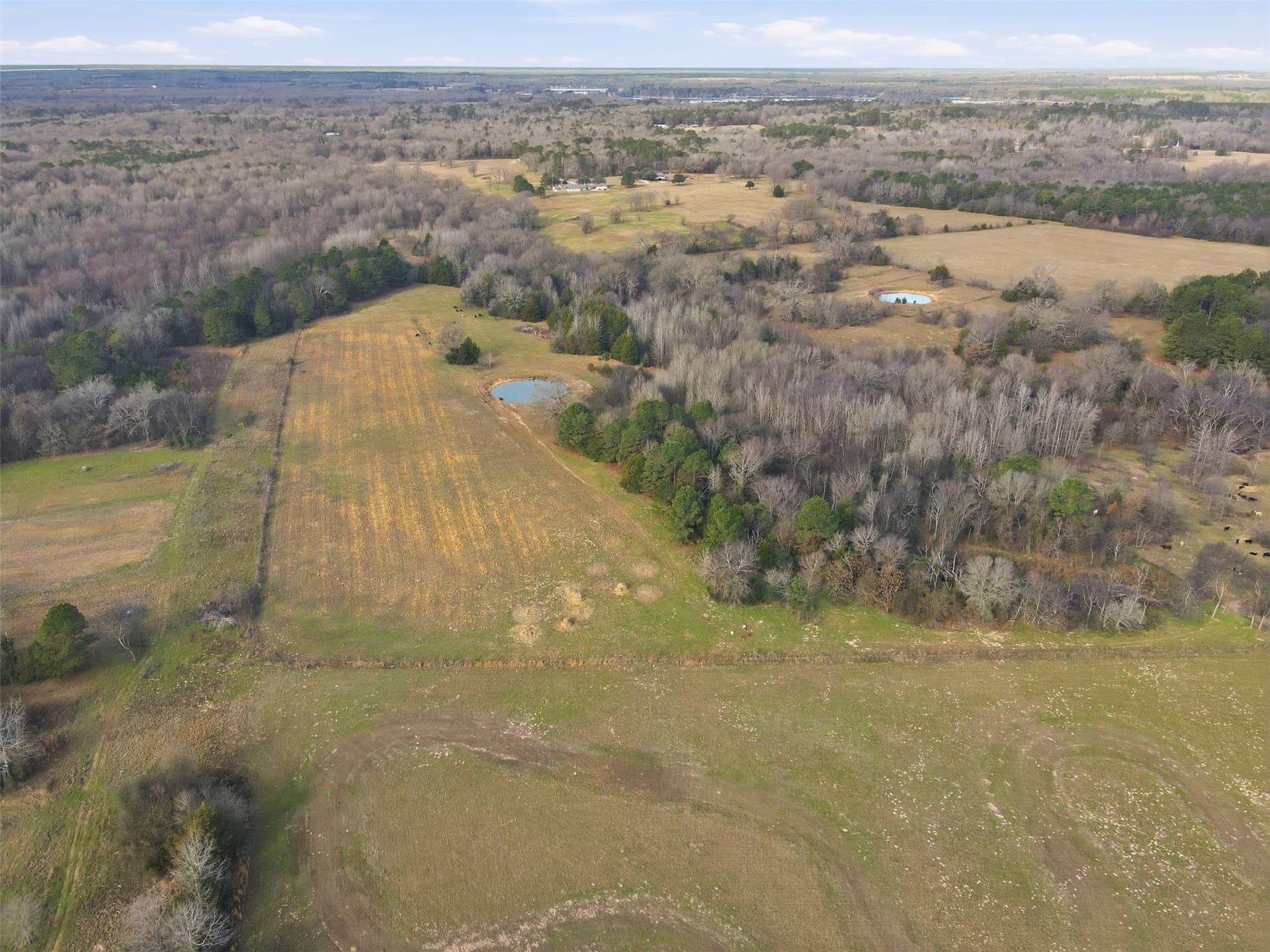 65.7 acres in Wood County - photo 3
