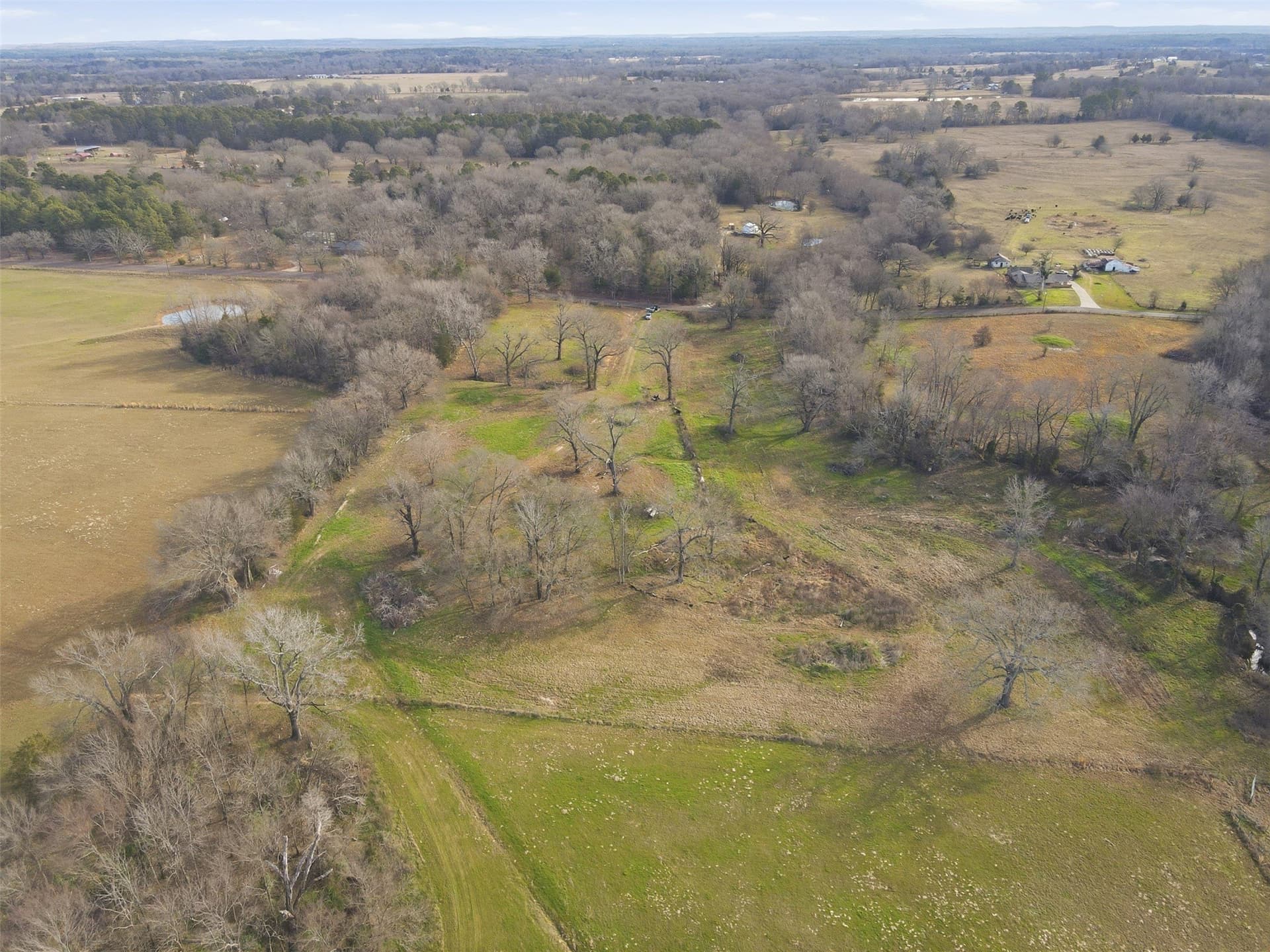 65.7 acres in Wood County - photo 18
