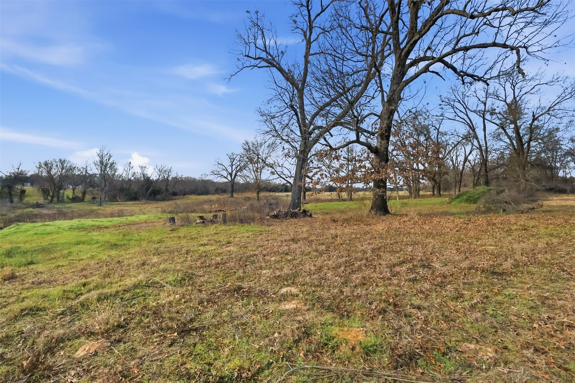 65.7 acres in Wood County - photo 4