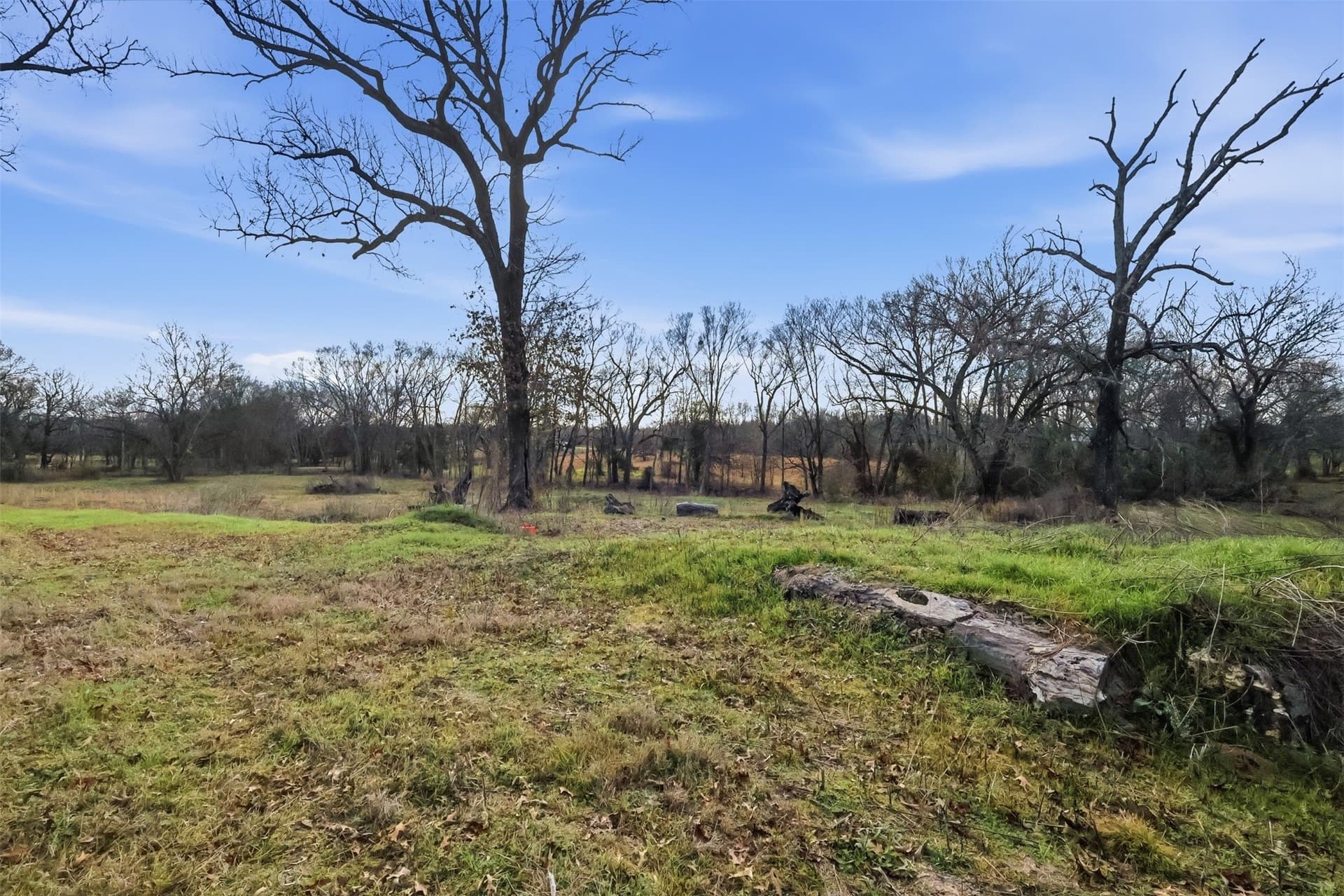 65.7 acres in Wood County - photo 11