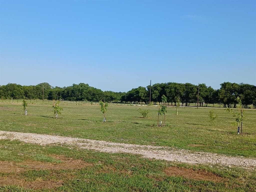 10 acres in Hunt County gallery image 4