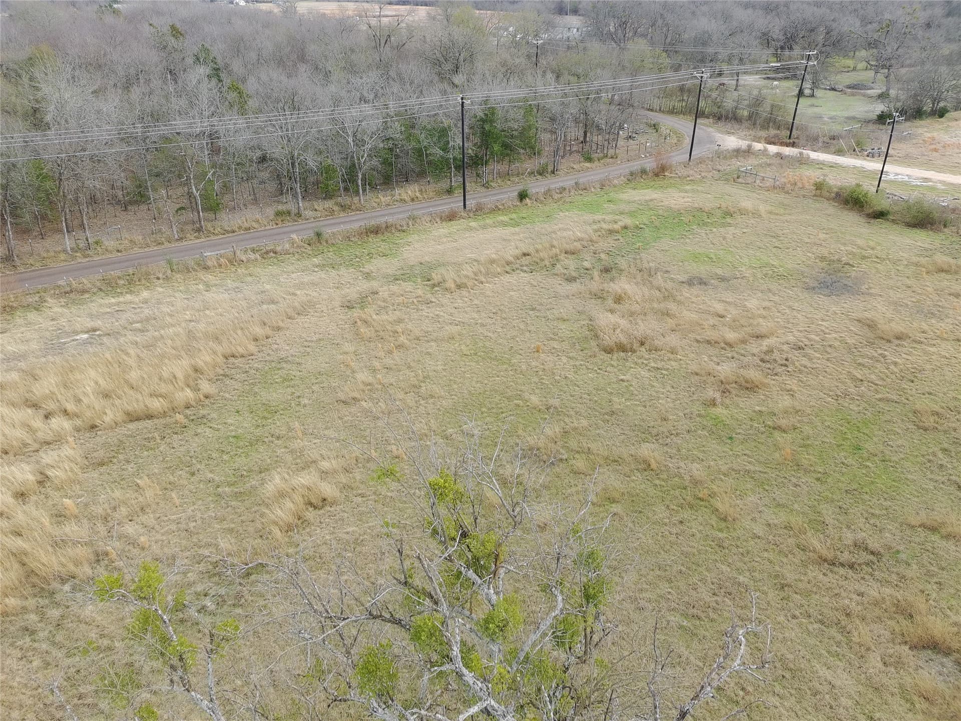 10 acres in Hopkins County - photo 6