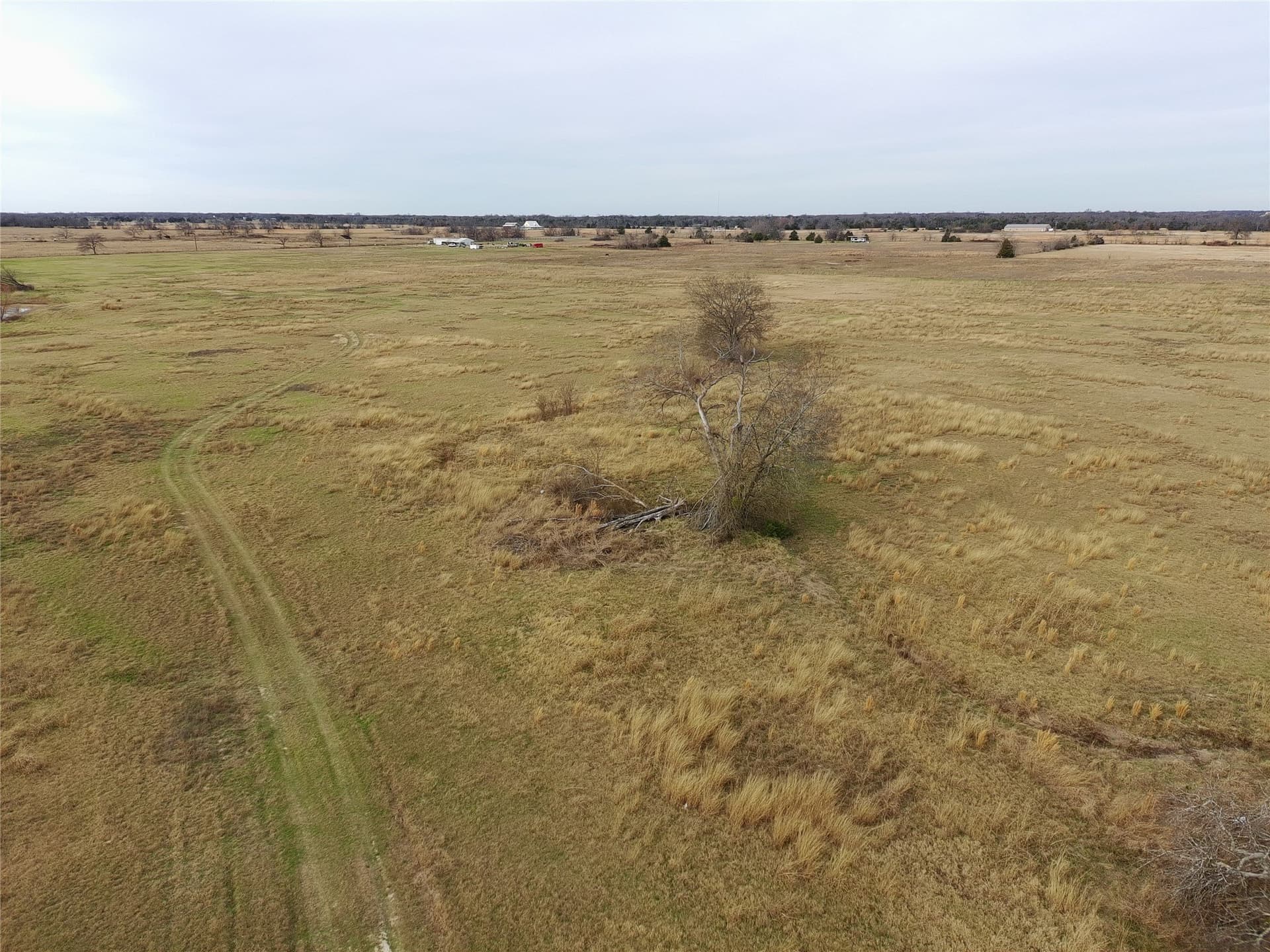 10 acres in Hopkins County featured view