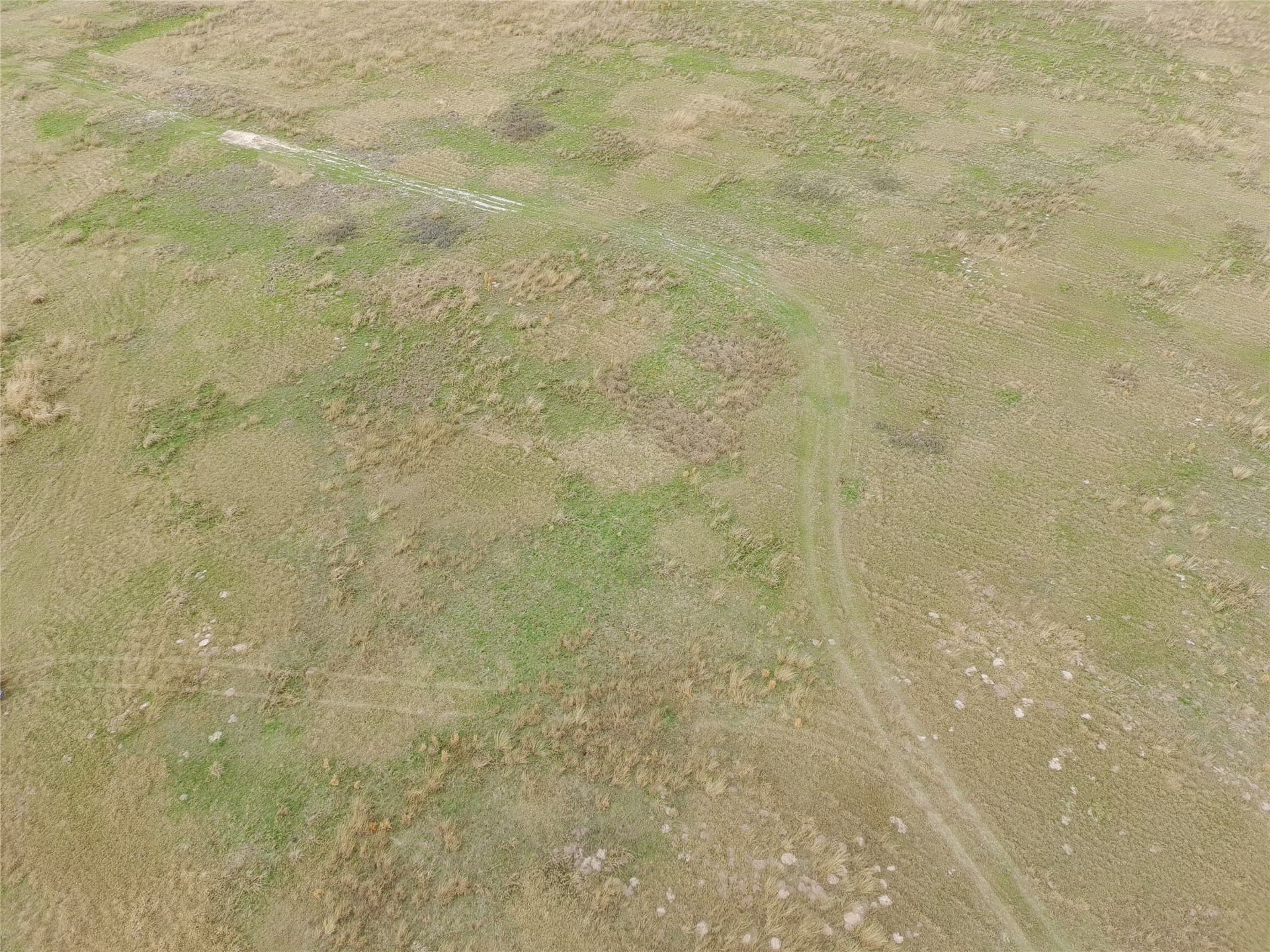 10 acres in Hopkins County - photo 7