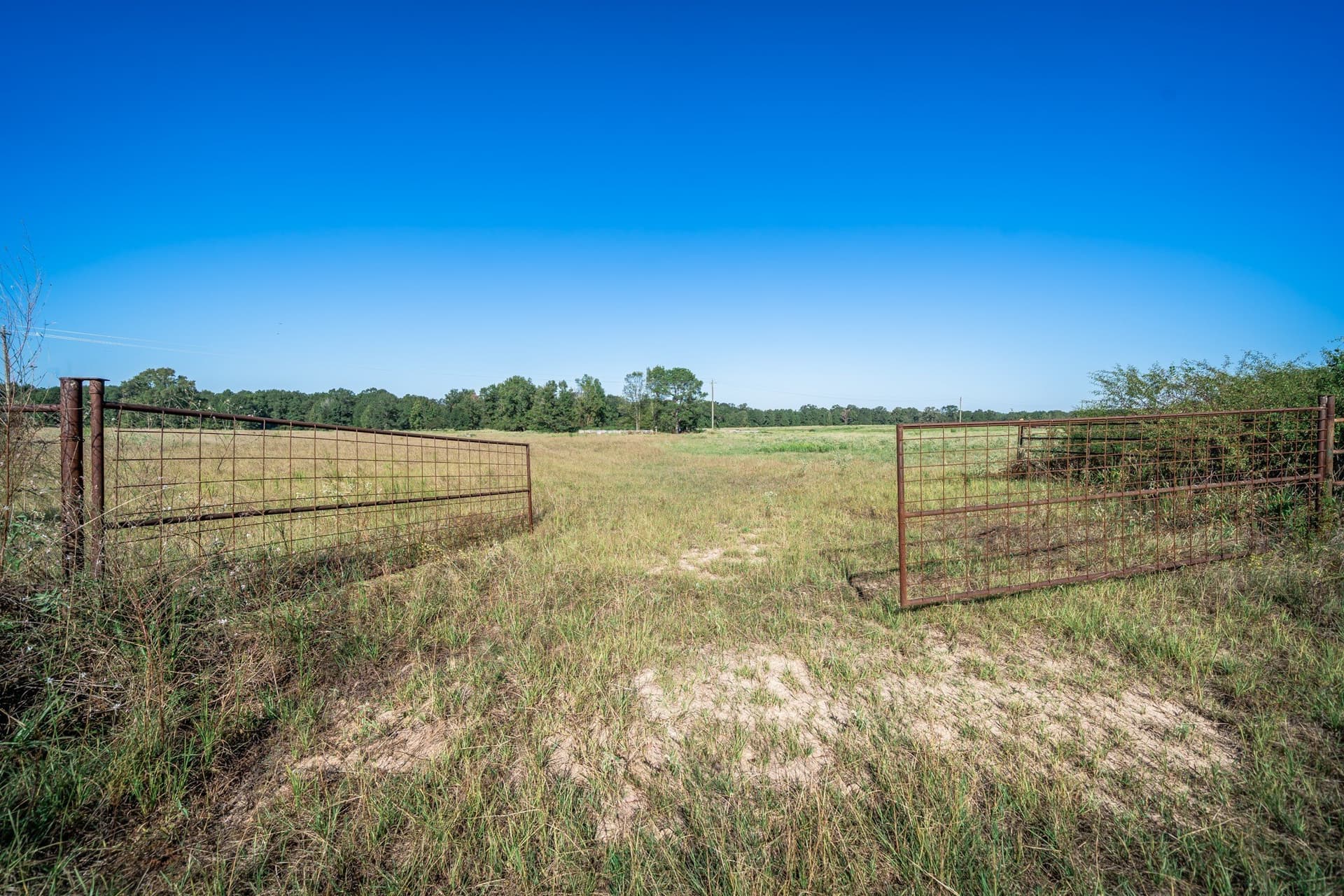 51.17 acres in Harrison County - photo 2