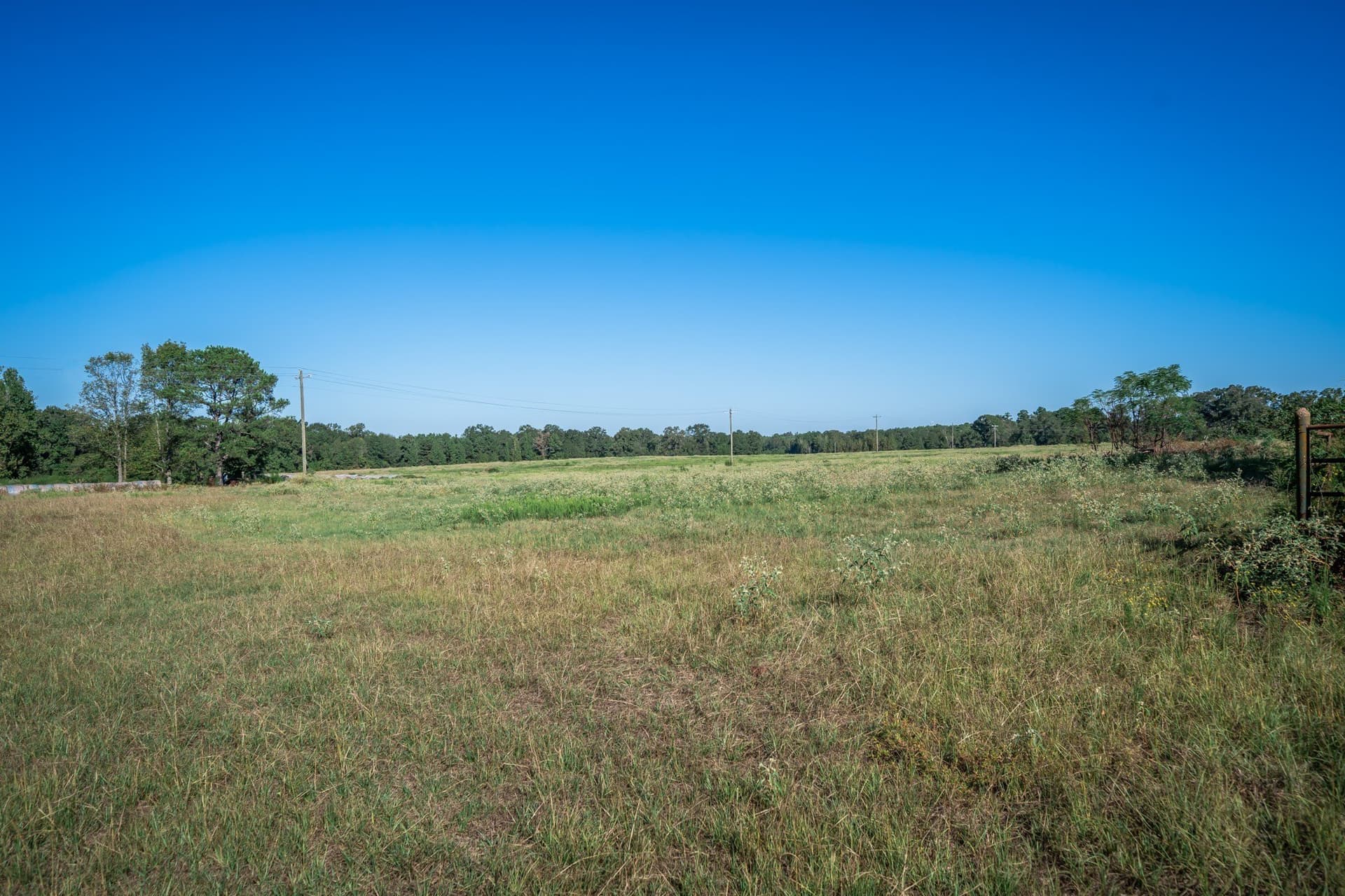51.17 acres in Harrison County - photo 4