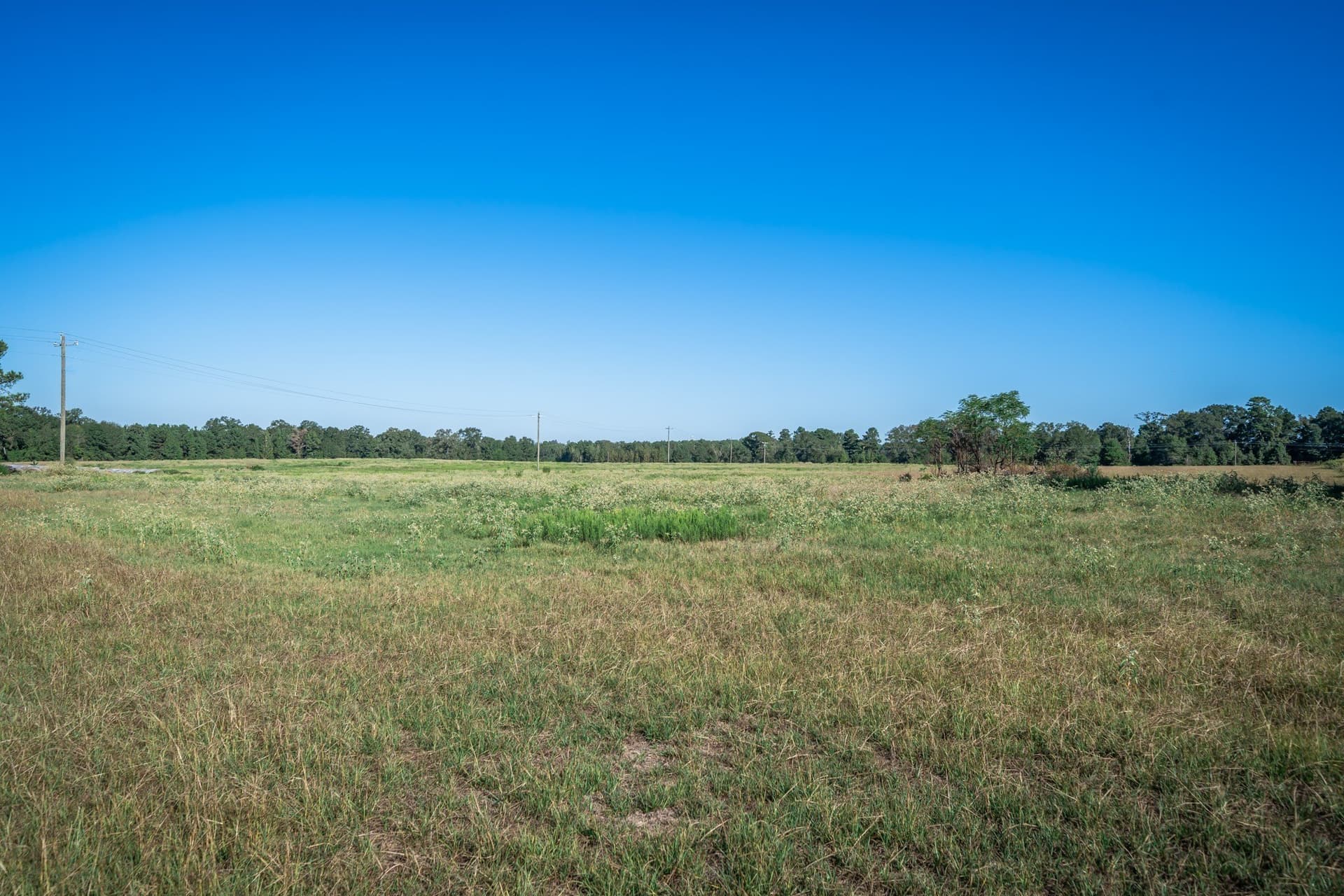 51.17 acres in Harrison County - photo 3