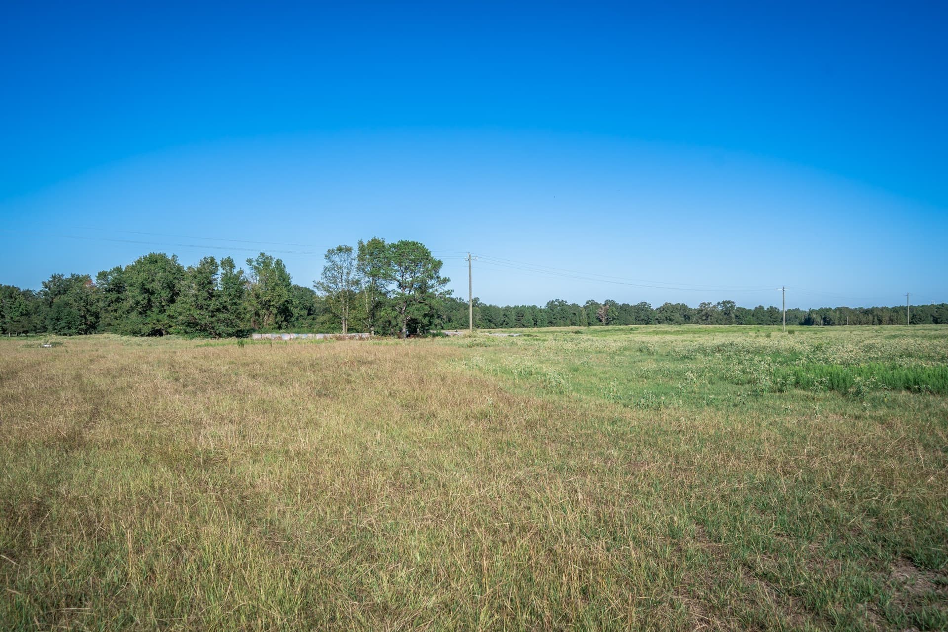 51.17 acres in Harrison County - photo 5