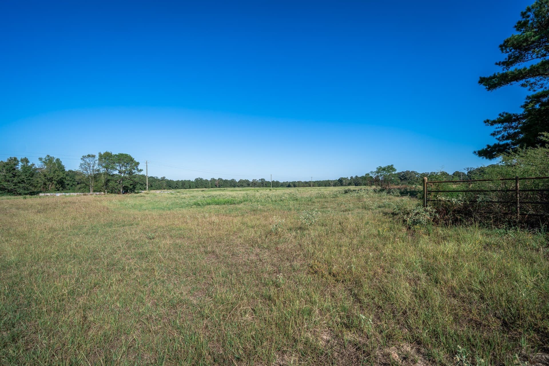 51.17 acres in Harrison County - photo 6