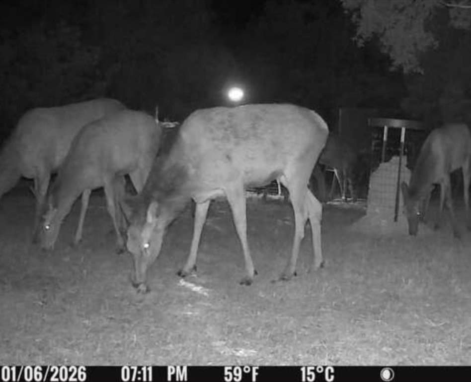 30.19 acres in Kerr County - photo 63