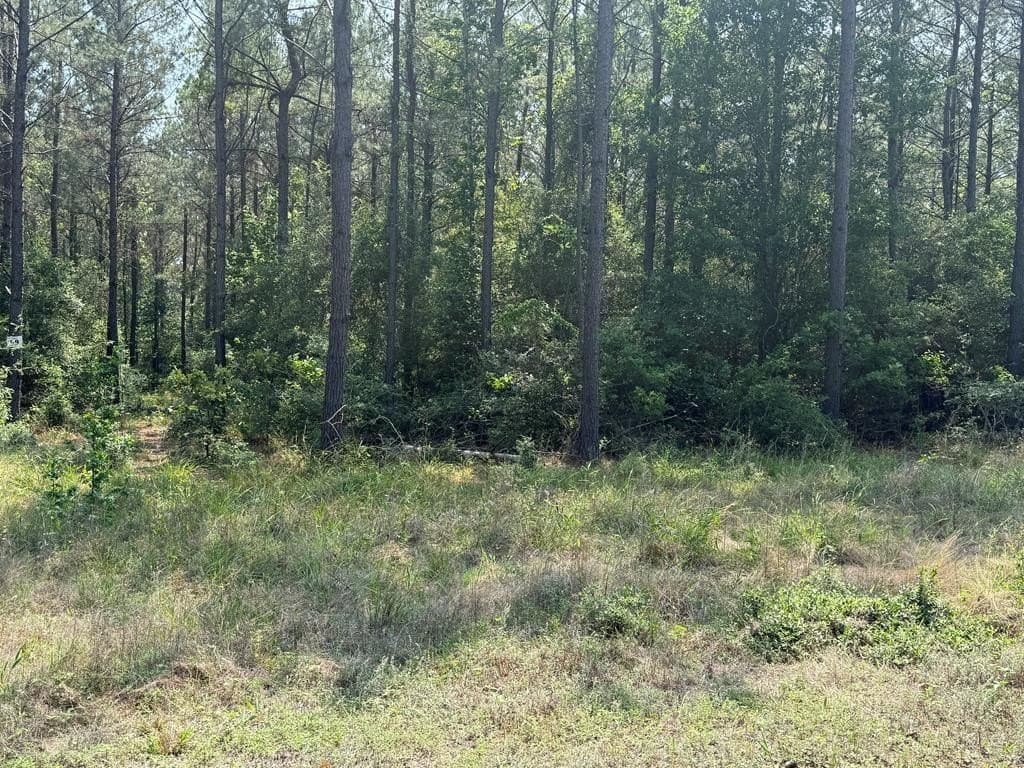 1.88 acres in Texas County featured view
