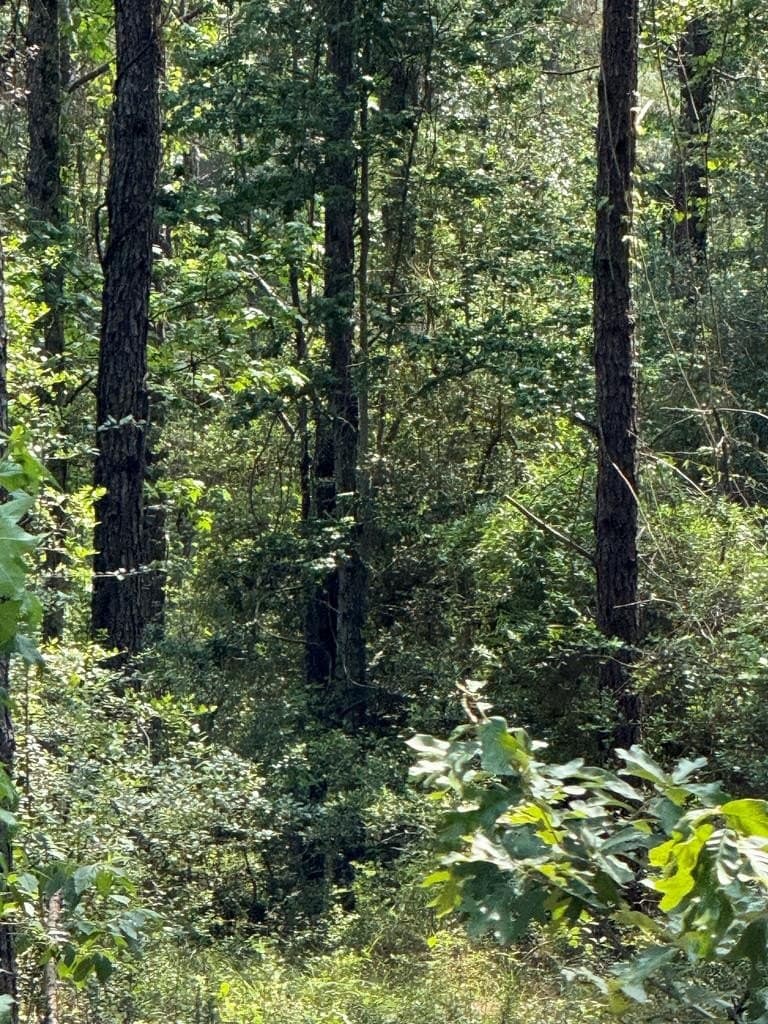 1.88 acres in Texas County gallery image 4