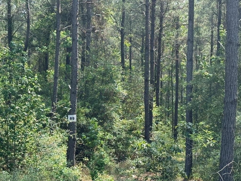 1.88 acres in Texas County gallery image 3