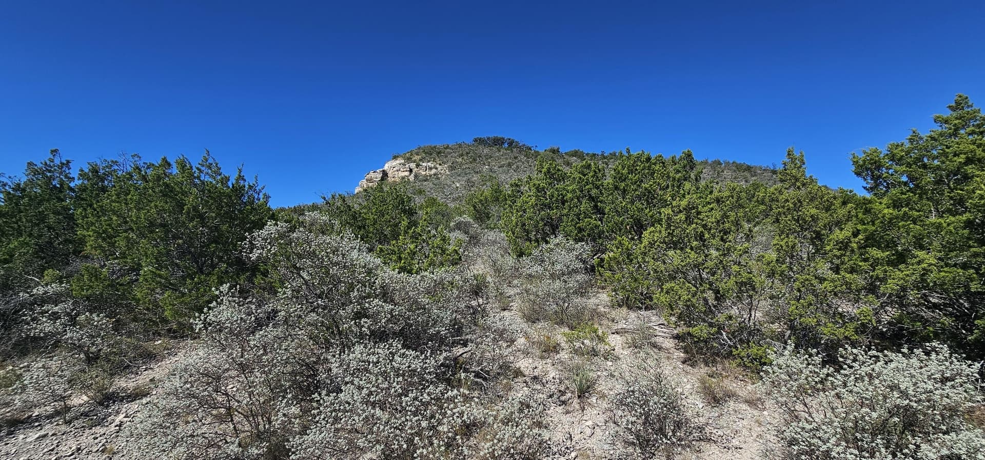 4.05 acres in Kimble County - photo 24