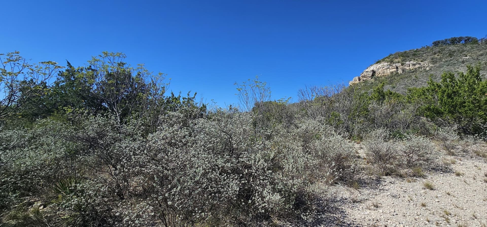 4.05 acres in Kimble County - photo 27