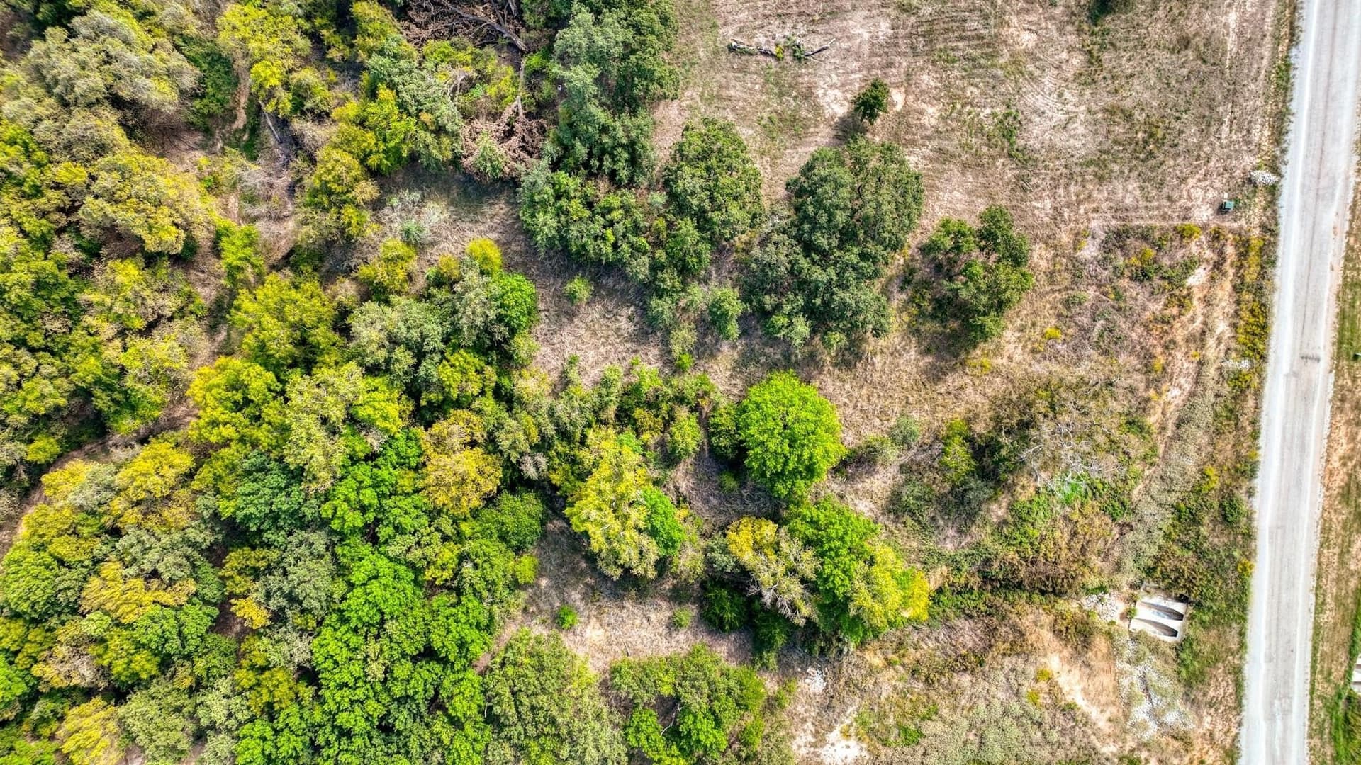 1.54 acres in Parker County - photo 8