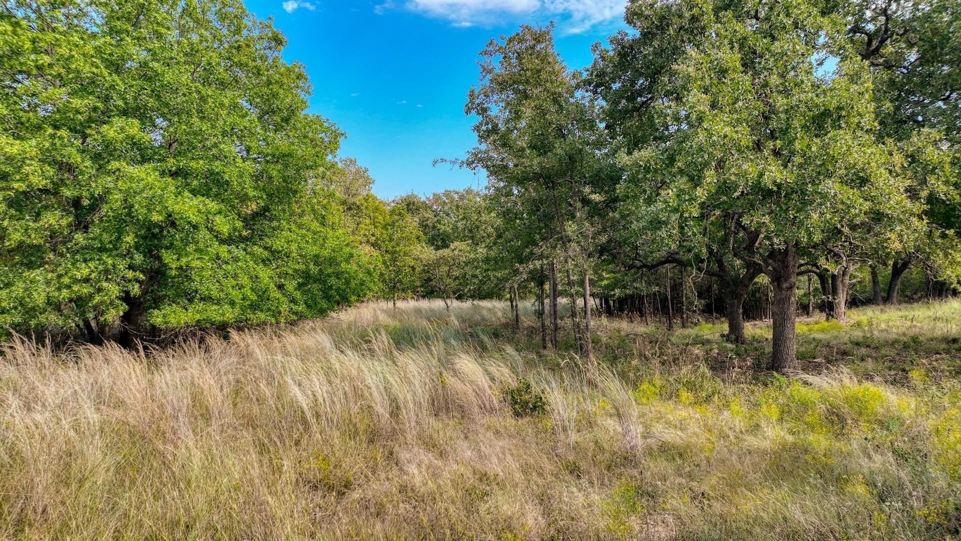 1.54 acres in Parker County gallery image 4