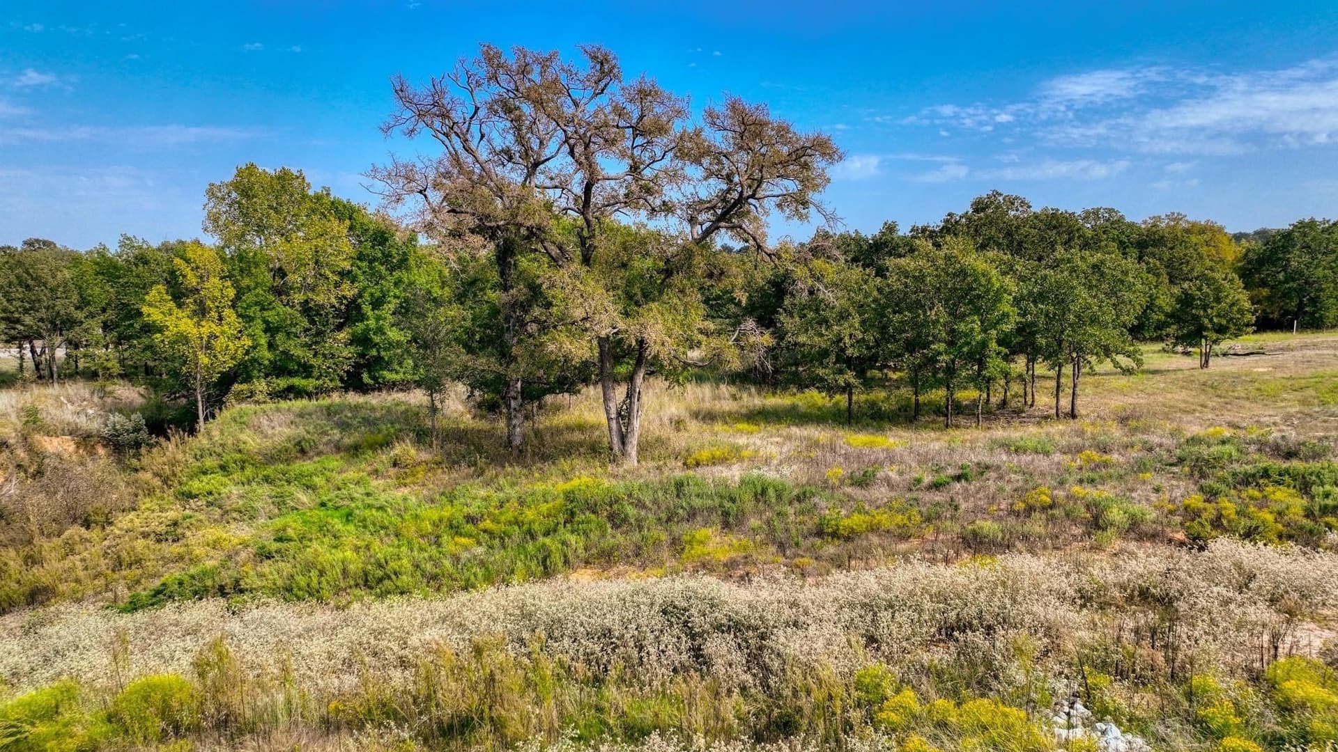 1.54 acres in Parker County