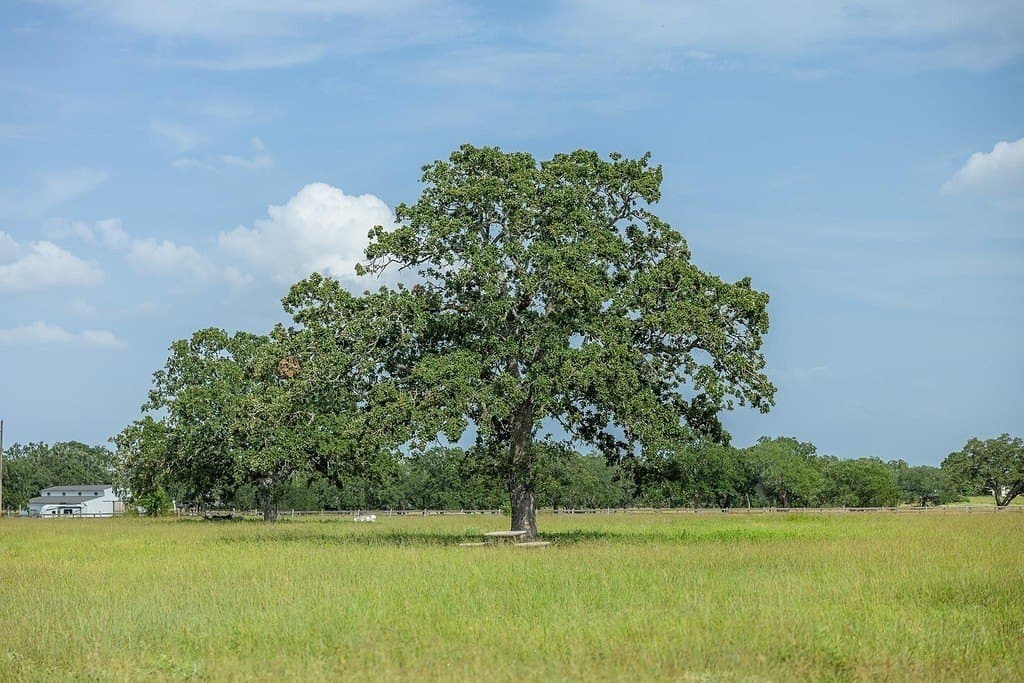 22 acres in Fayette County - photo 26