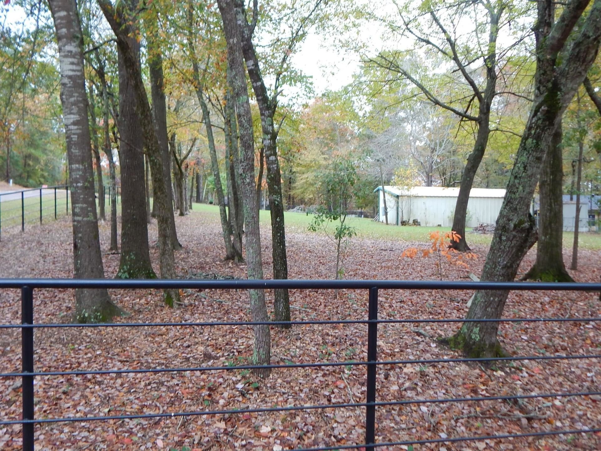 0.76 acres in Texas County - photo 14