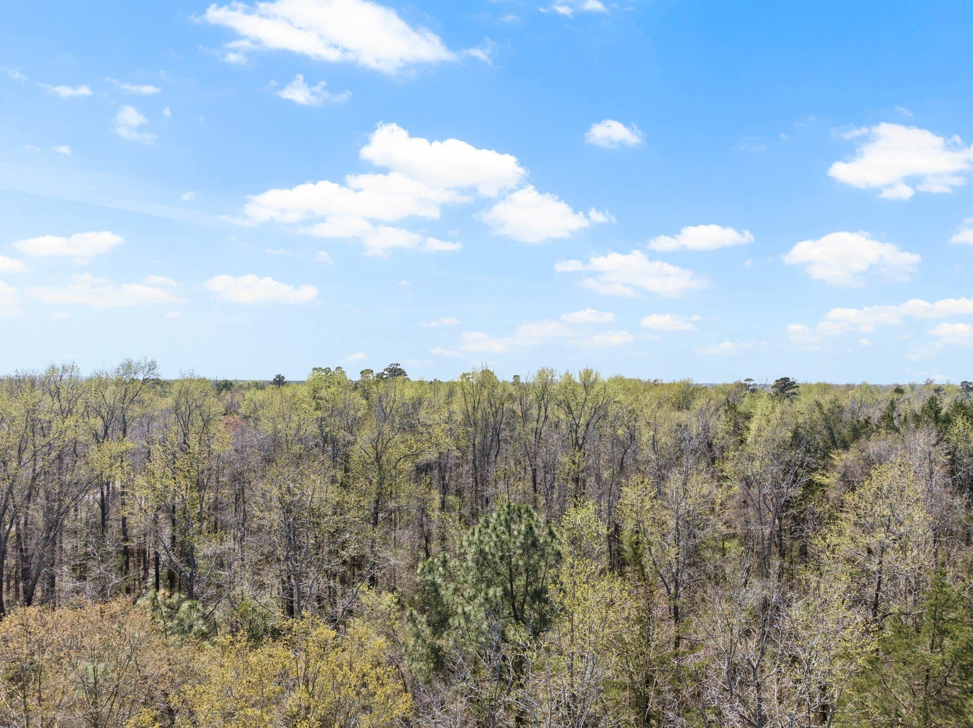 5.65 acres in Titus County - photo 4