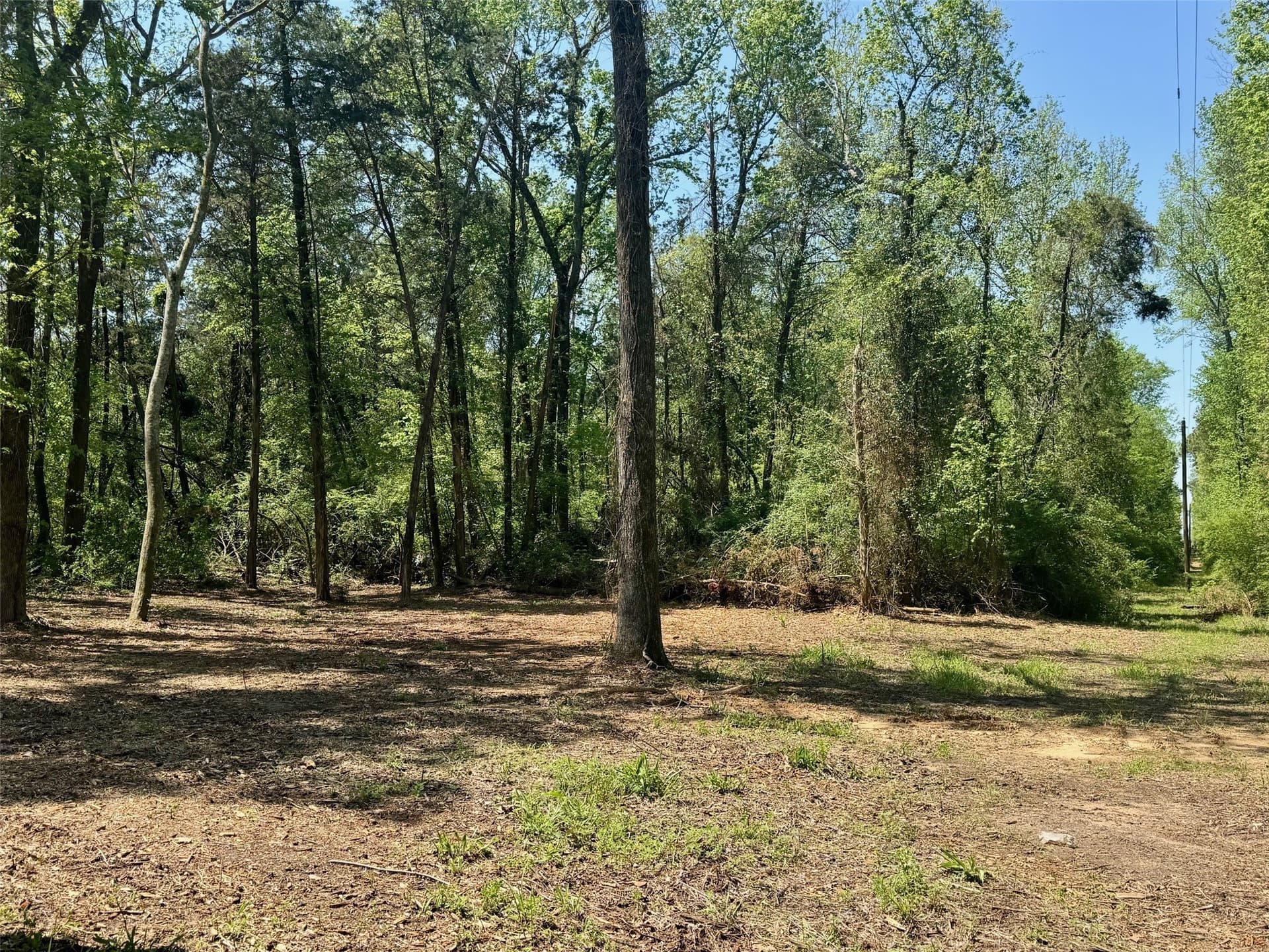 5.65 acres in Titus County - photo 12