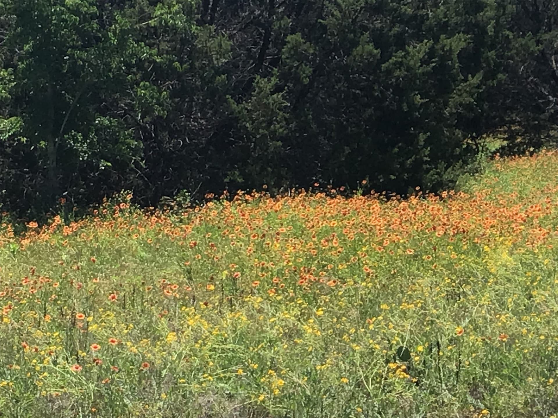 0.45 acres in Hill County - photo 14