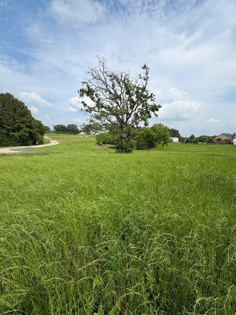 1 acres in Henderson County gallery image 2