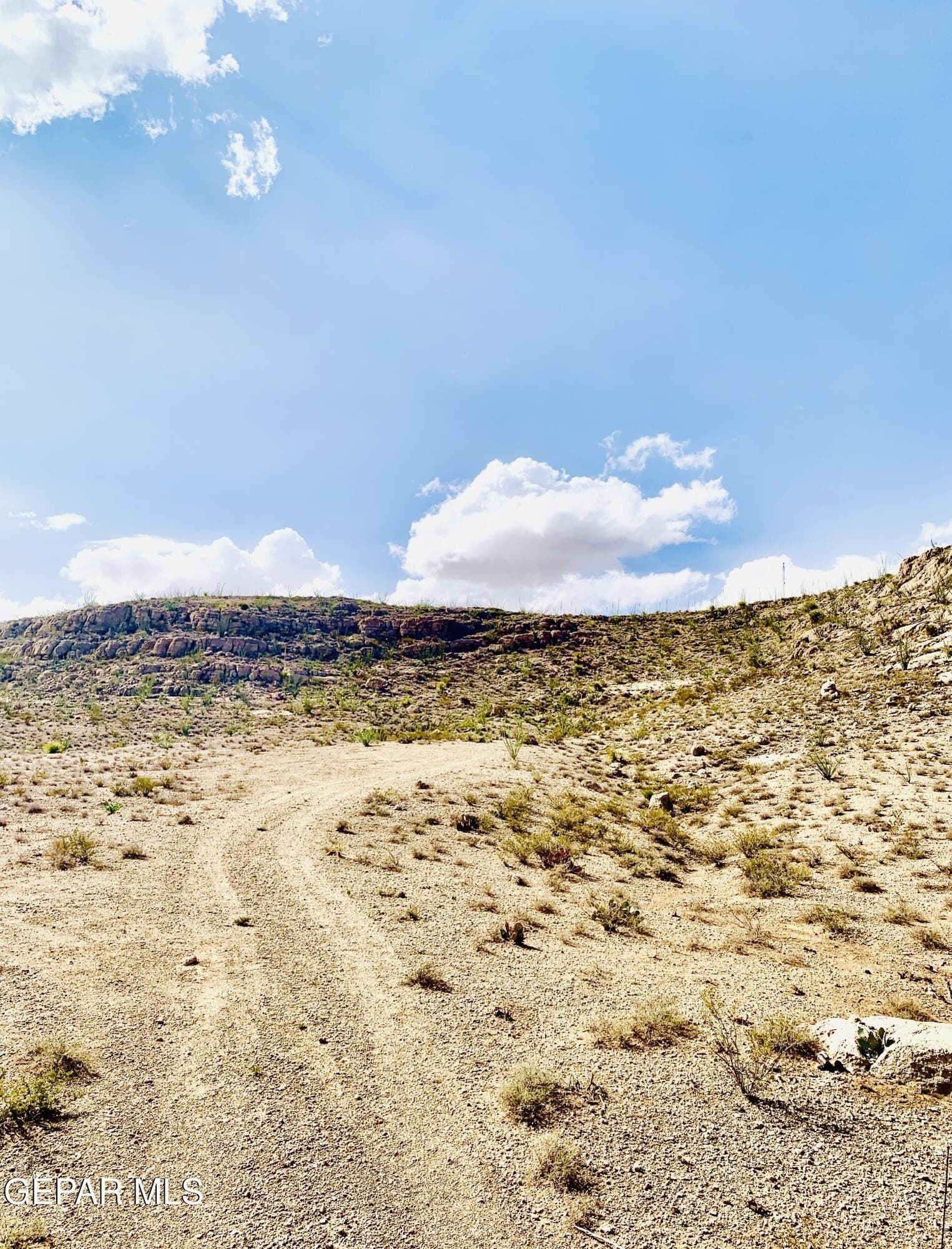 5.23 acres in El Paso County gallery image 2