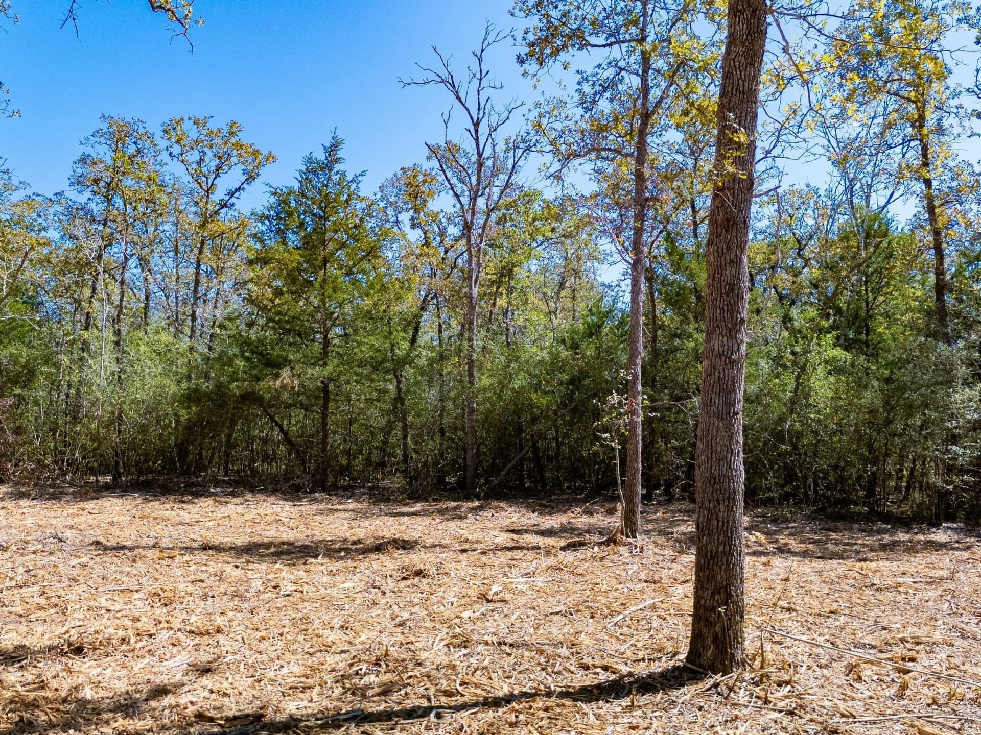 14 acres in Burleson County - photo 15