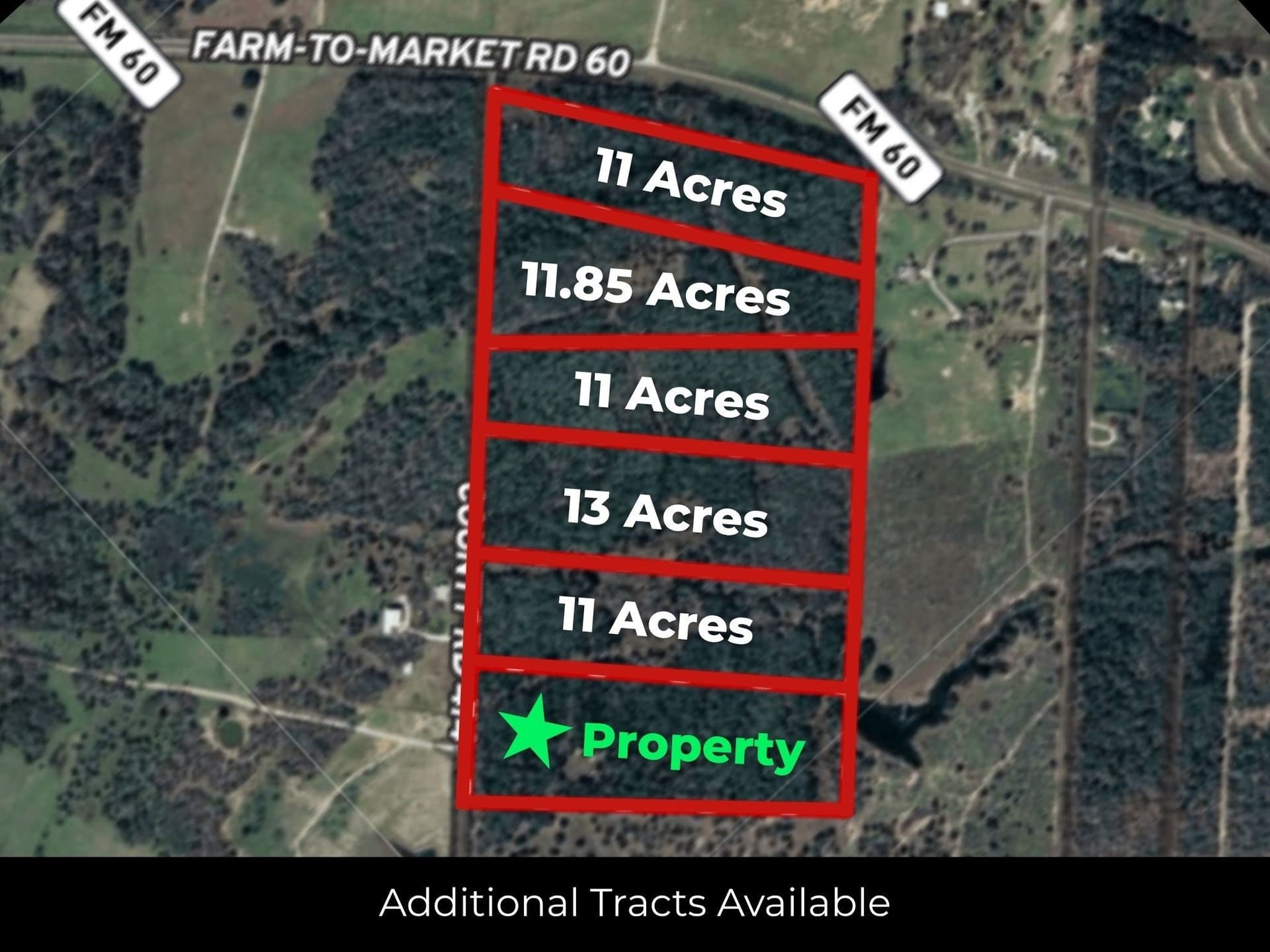 14 acres in Burleson County - photo 9