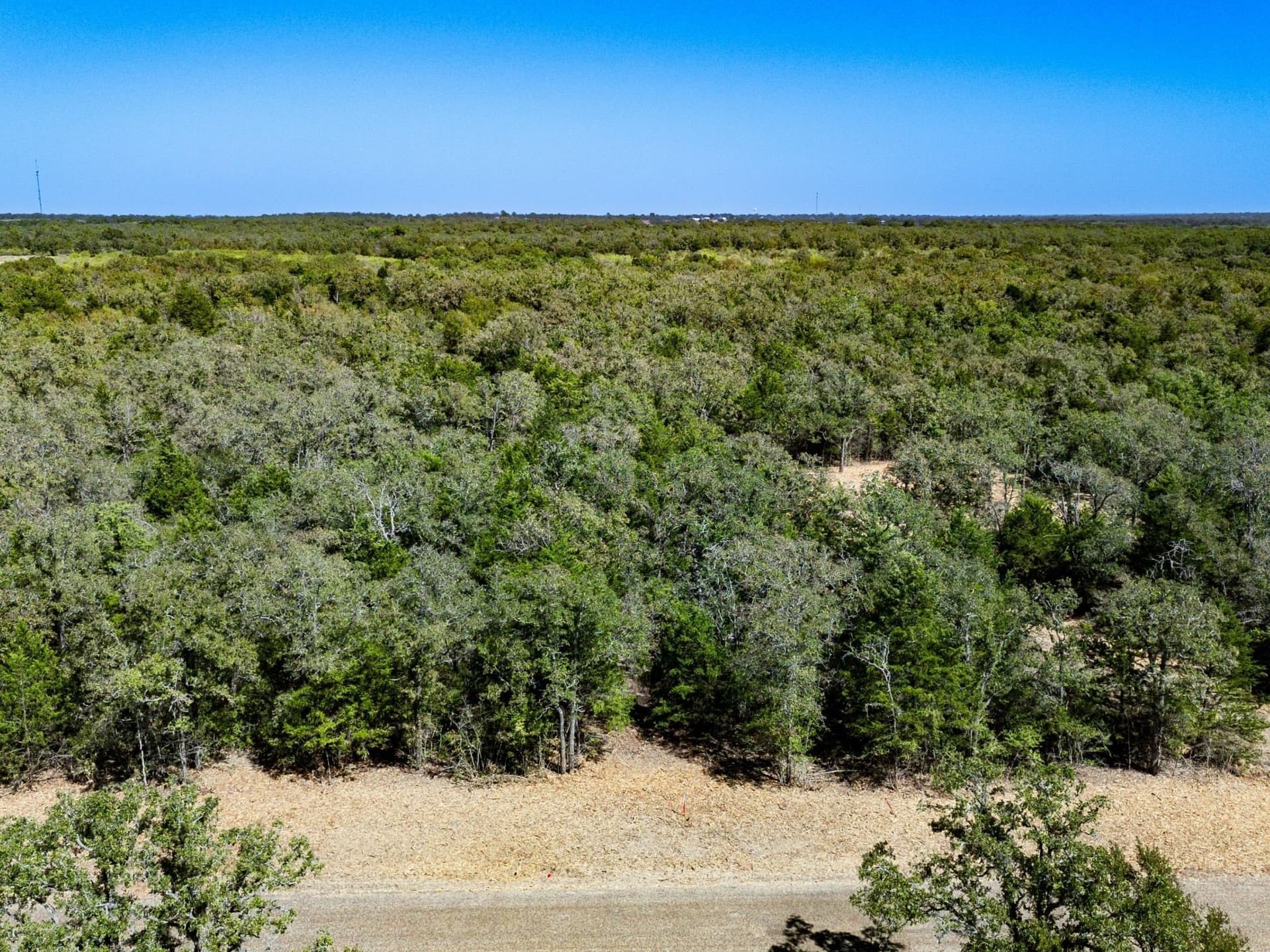 14 acres in Burleson County - photo 18