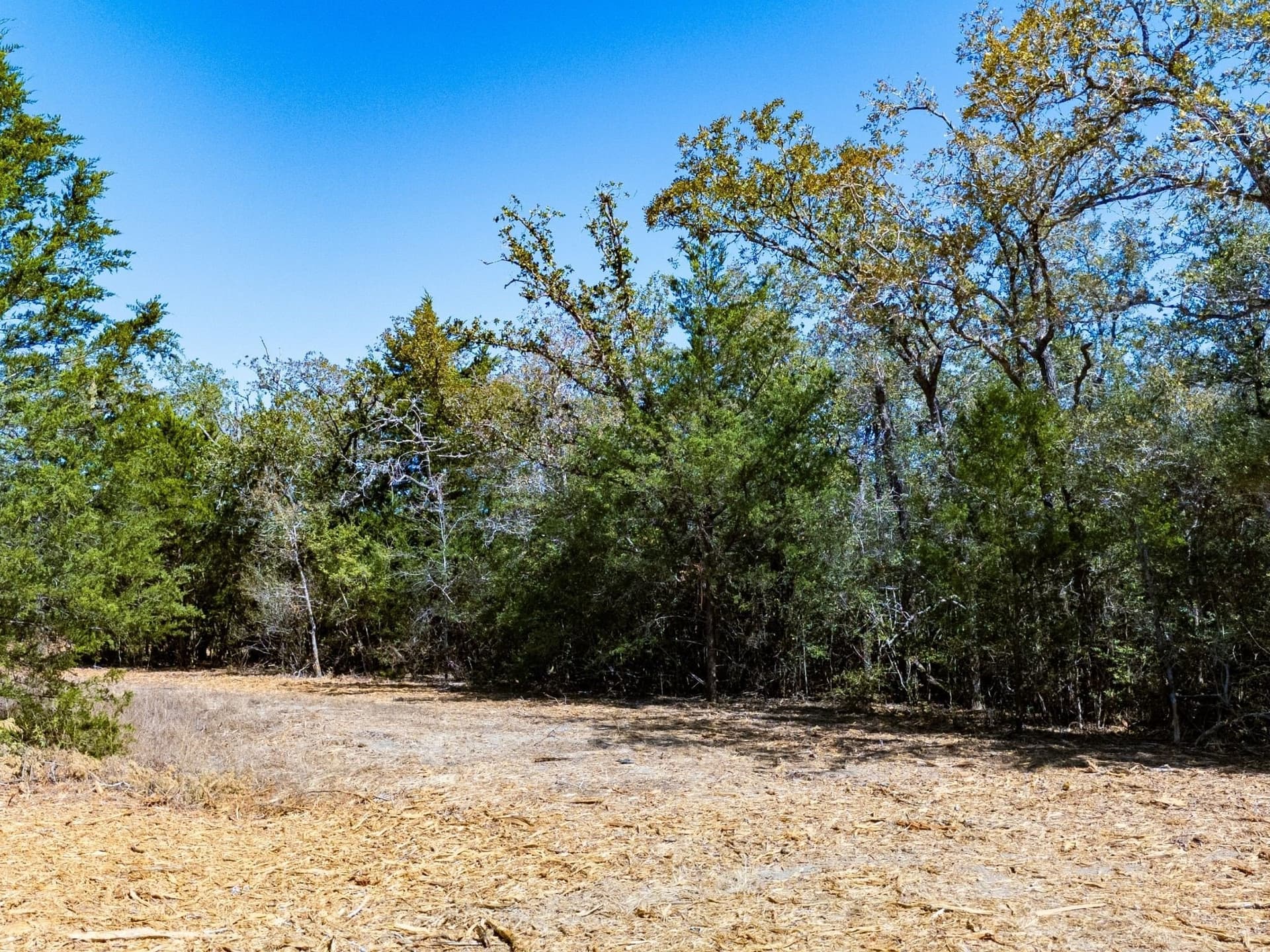 14 acres in Burleson County - photo 17