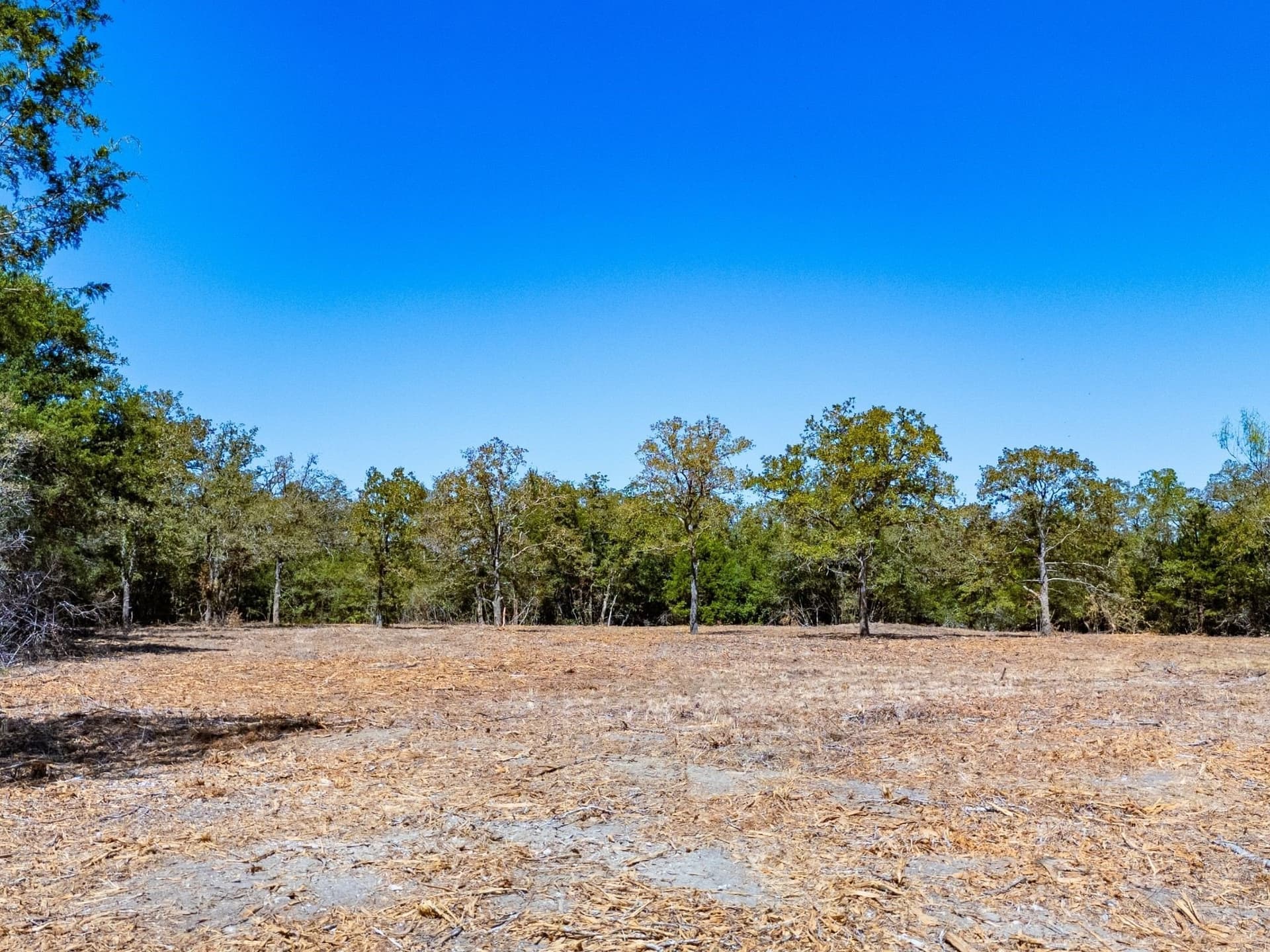 14 acres in Burleson County - photo 14