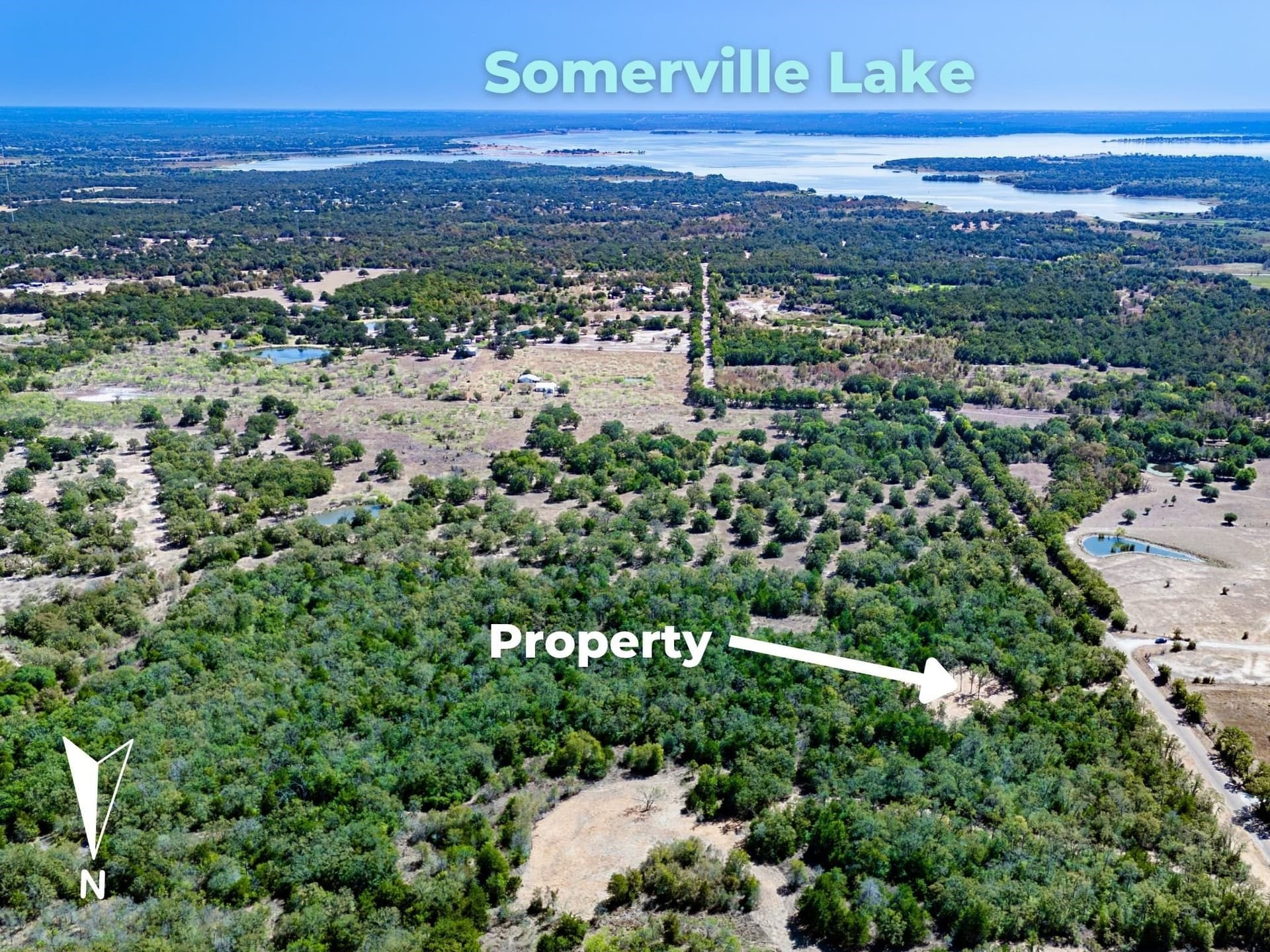 14 acres in Burleson County - photo 13