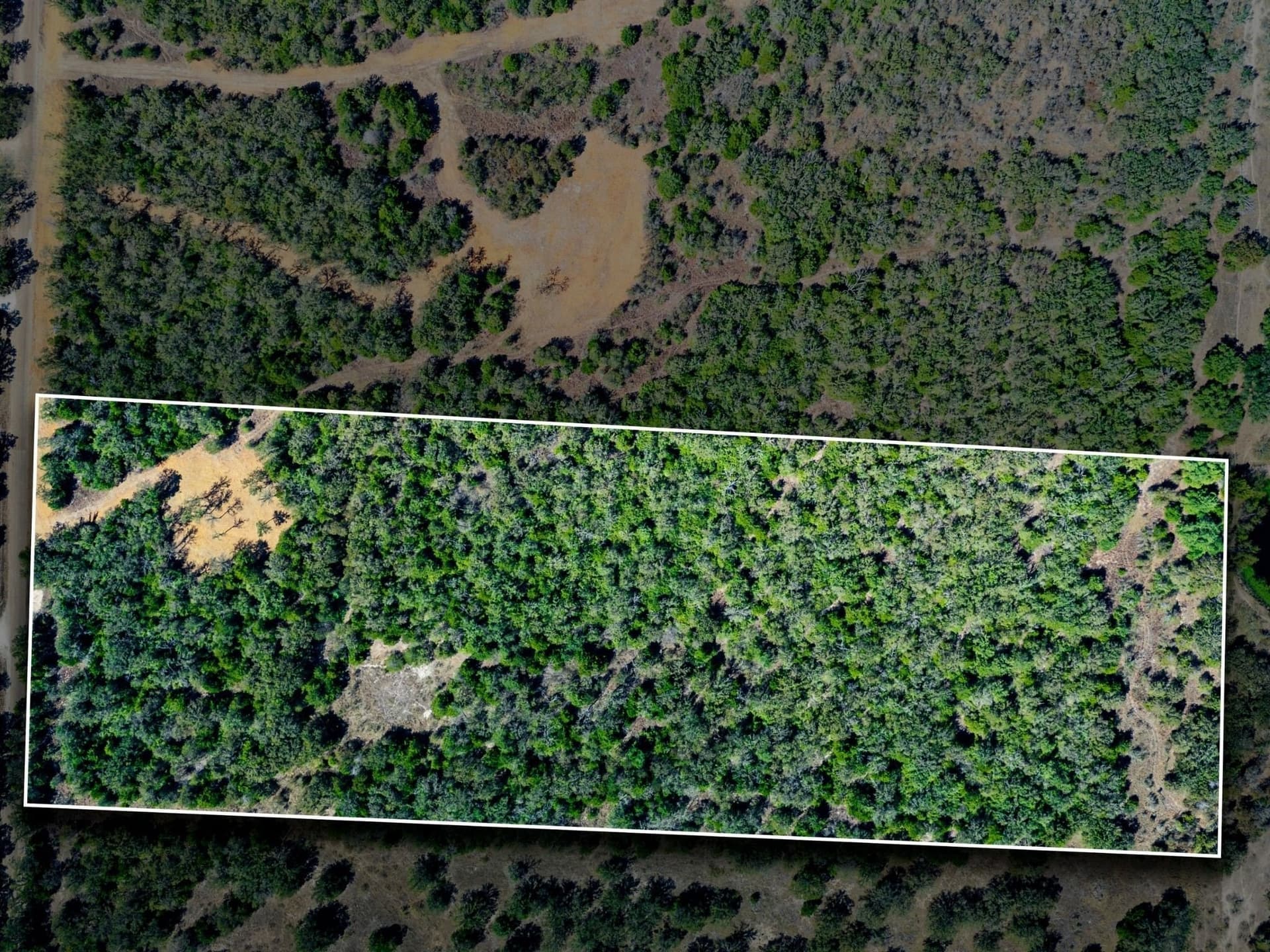 14 acres in Burleson County - photo 10