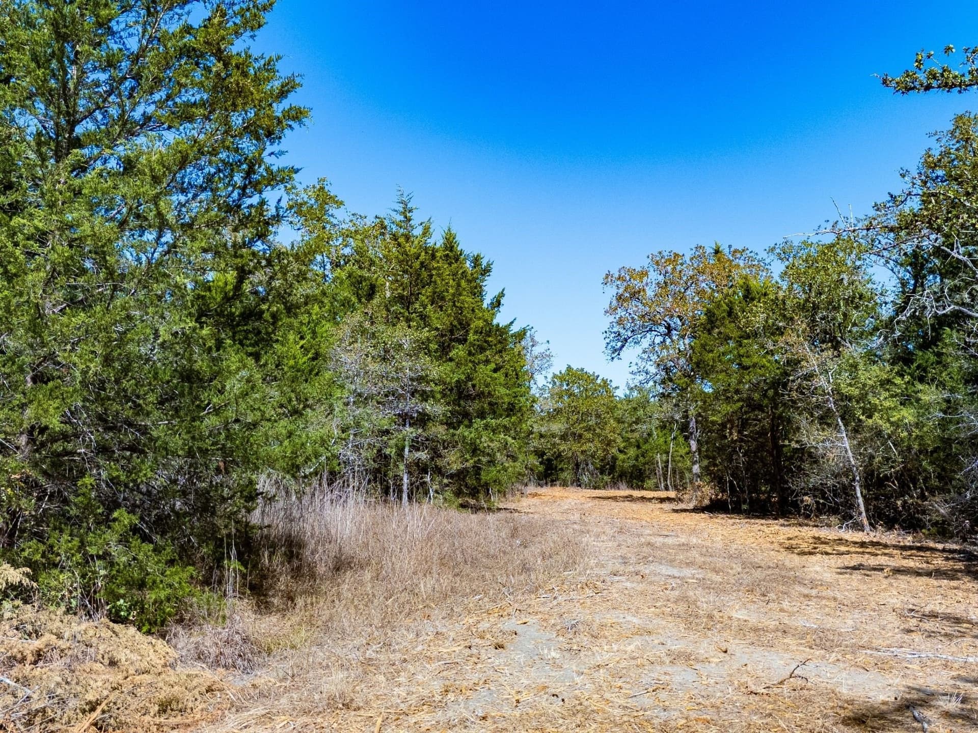 14 acres in Burleson County - photo 16