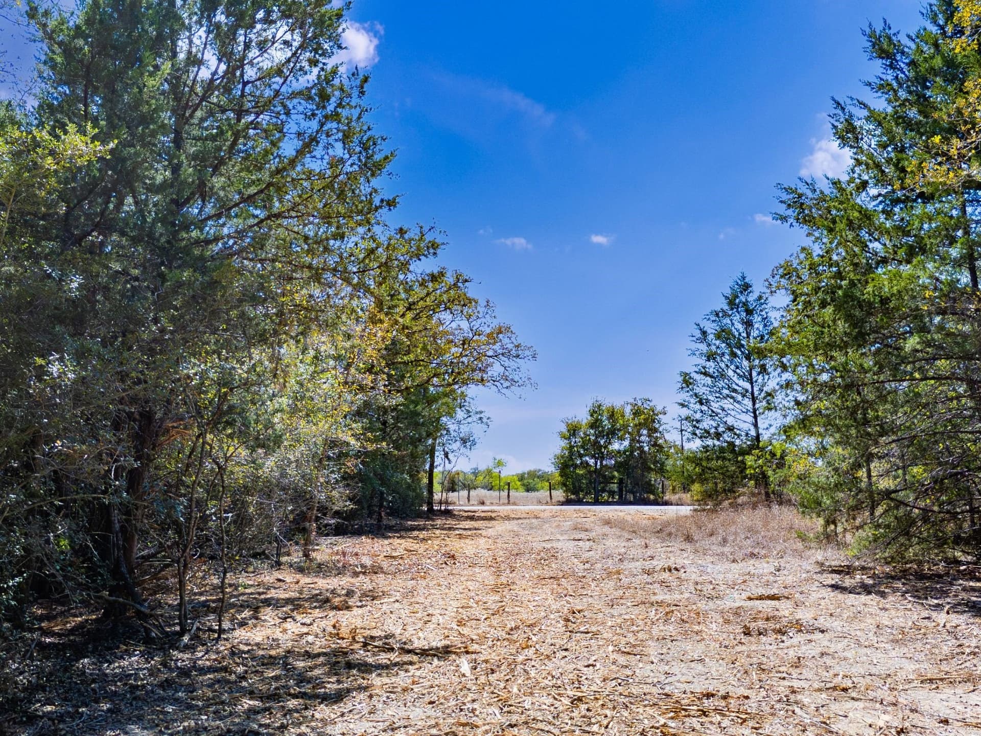 14 acres in Burleson County - photo 4