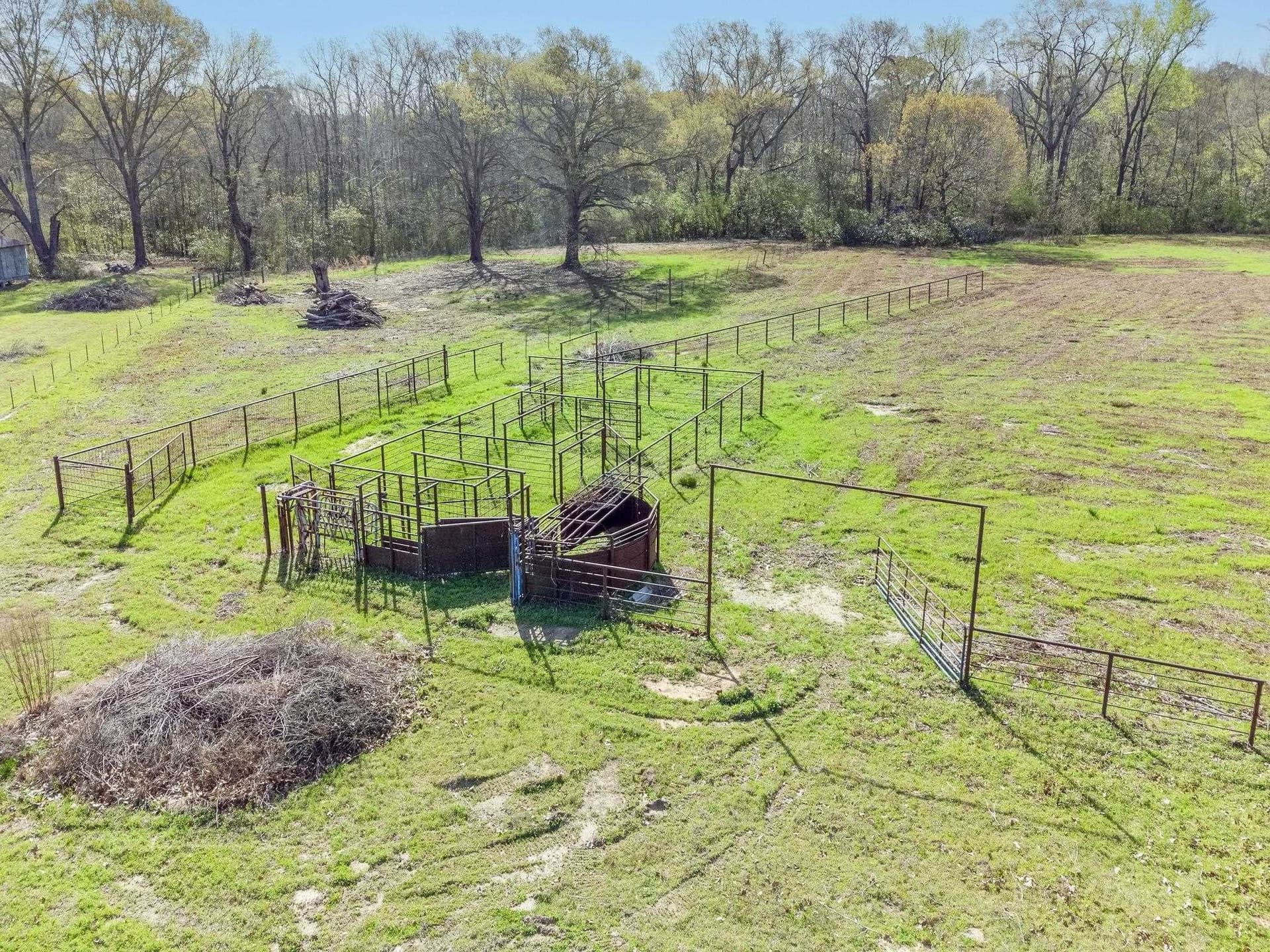 54.1 acres in Upshur County gallery image 3