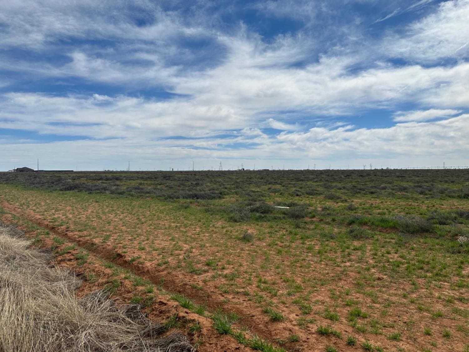 12.02 acres in Hale County gallery image 3