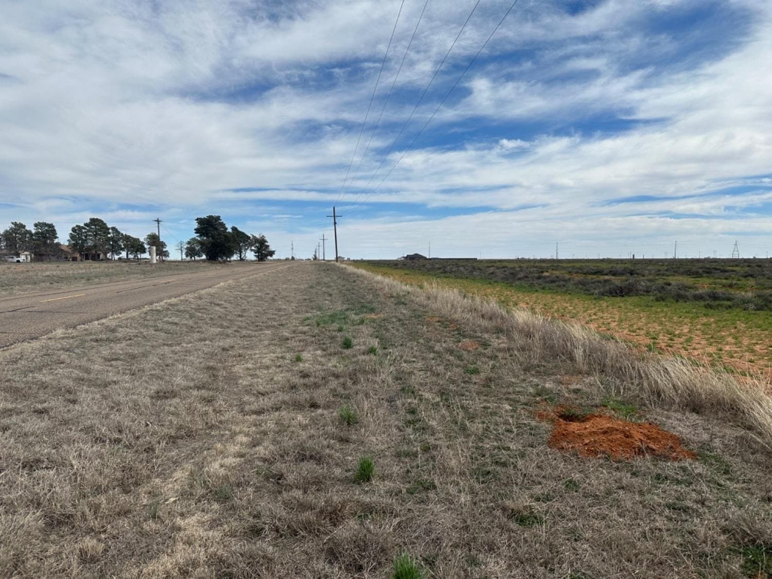 12.02 acres in Hale County