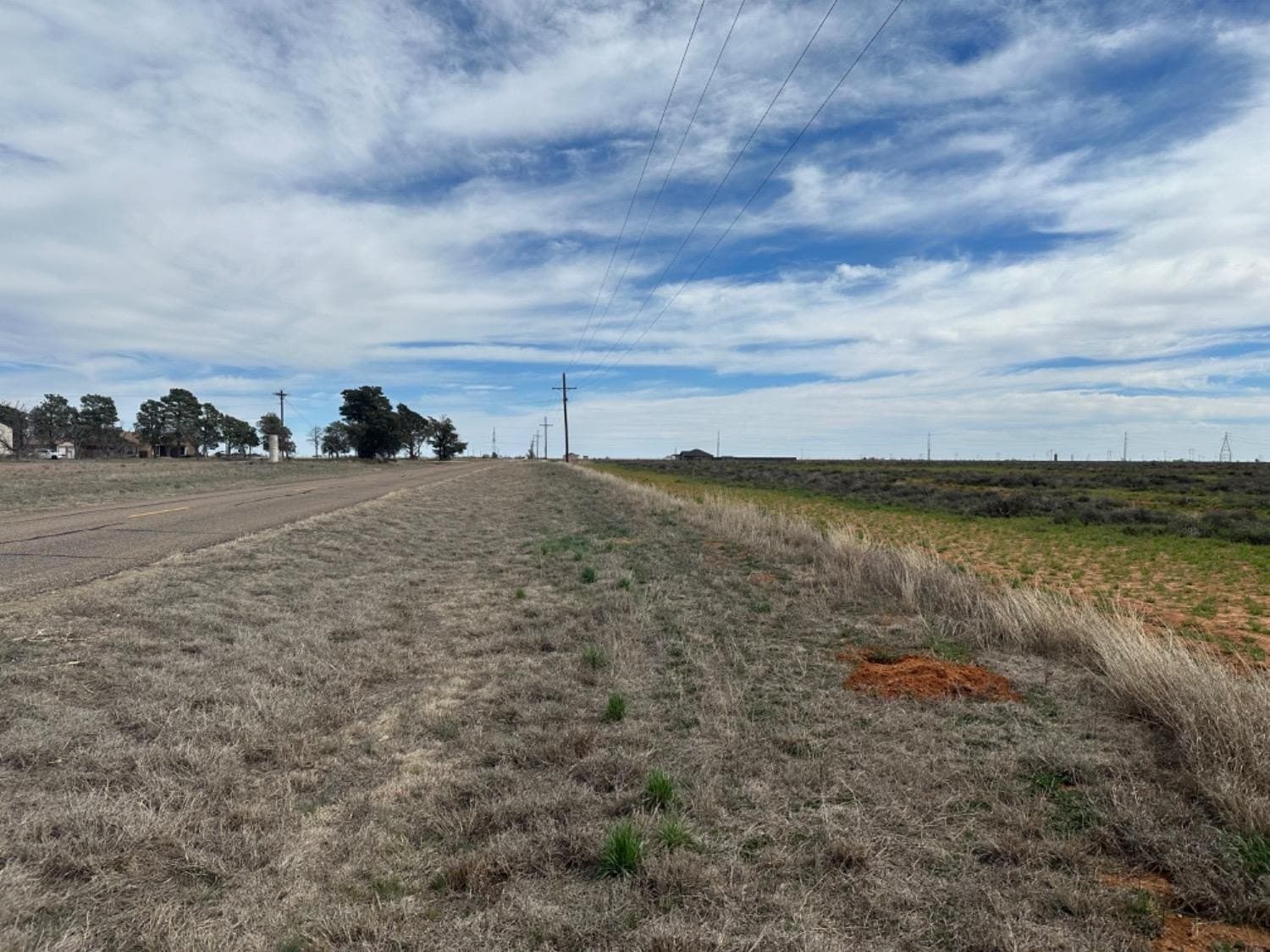 12.02 acres in Hale County gallery image 4