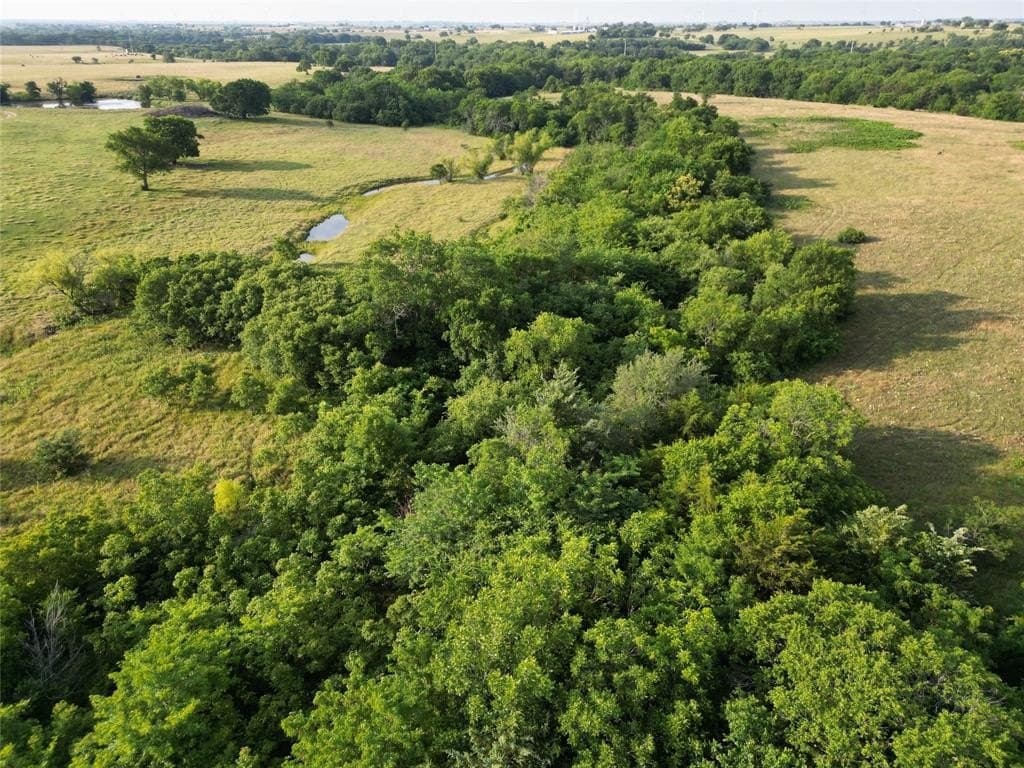 53.93 acres in Cooke County gallery image 4